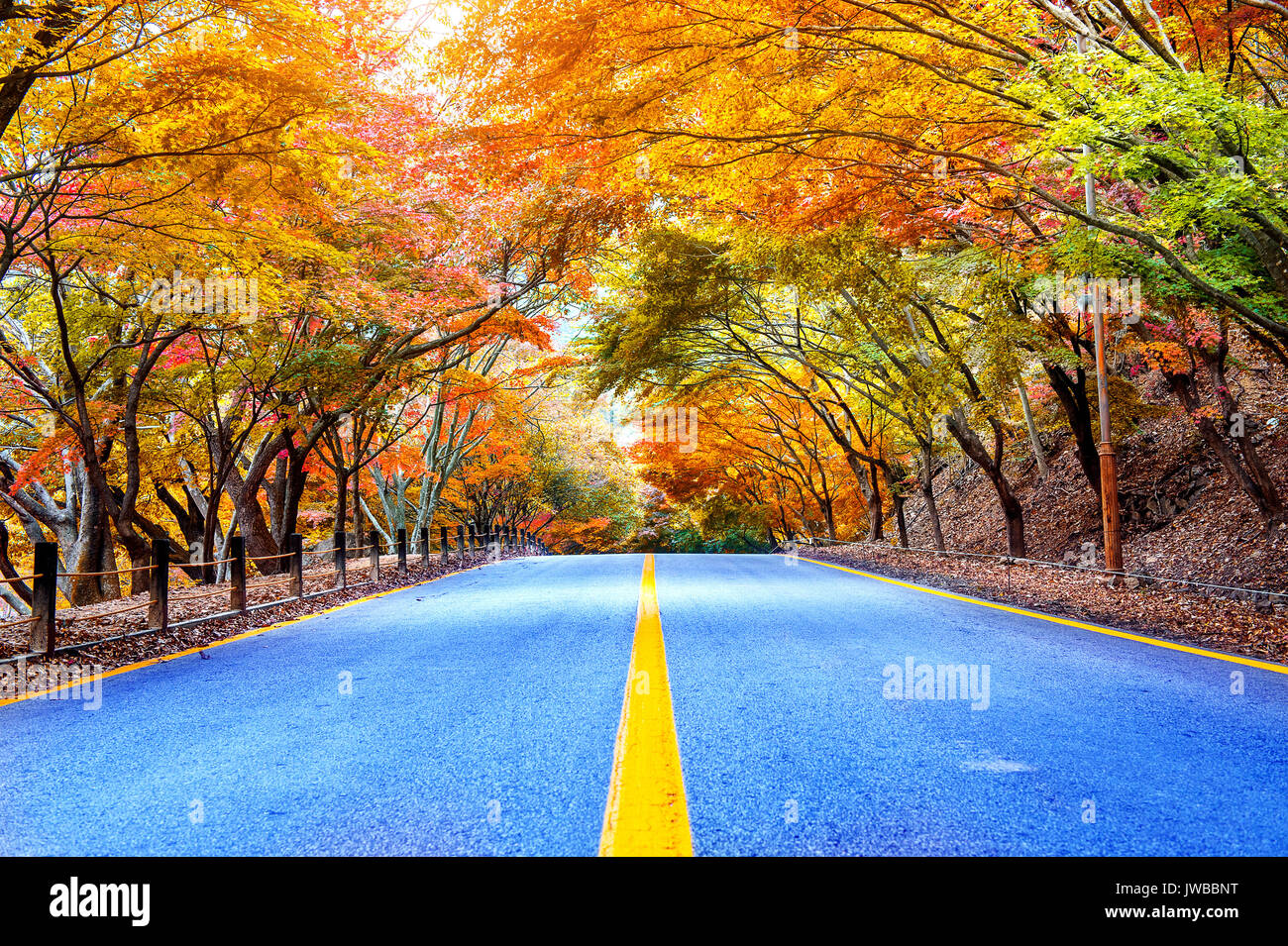 Autunno nel parco nazionale della Corea del Sud. Foto Stock