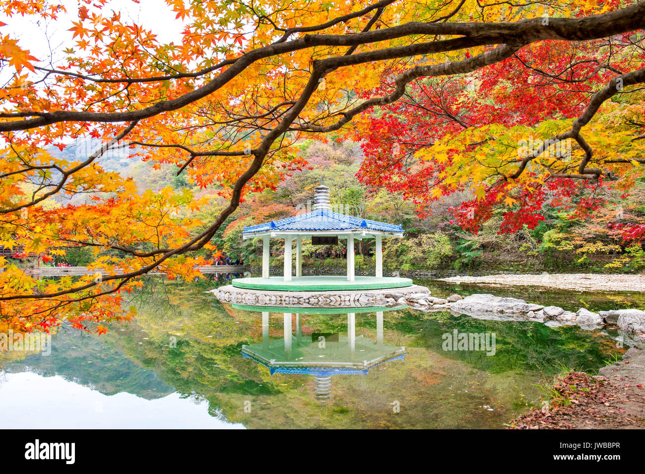 Naejangsan Parco Nazionale in autunno,Corea del Sud Foto Stock
