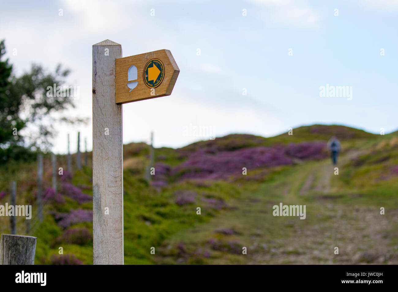 Una serata estiva in tutto il bello e pittoresco paesaggio della gamma Clwydian con una collina walker offuscata con messa a fuoco e un percorso di legname marcatore Foto Stock
