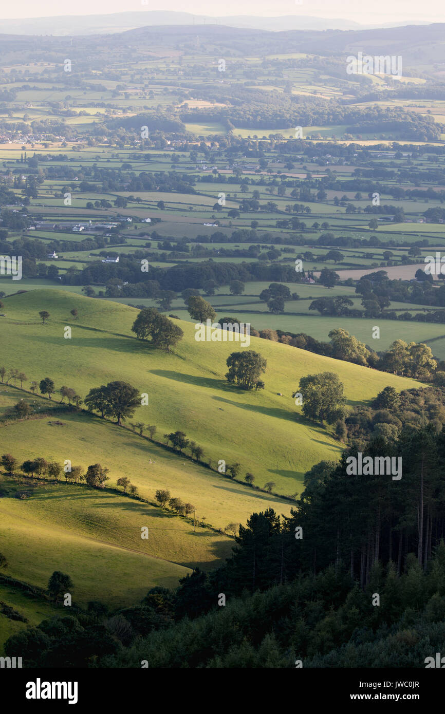 Una serata estiva in tutto il bello e pittoresco paesaggio della valle di Clwyd verso la città di Denbigh con Snowdonia National Park in d Foto Stock