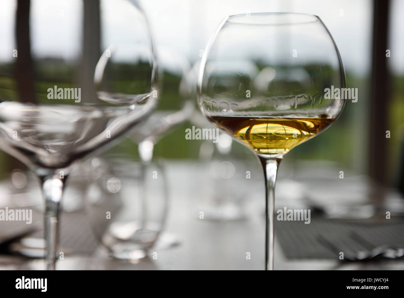 Bicchiere di anfore di vino bianco ad una degustazione di vino nella sala da pranzo di Kabaj Morel Guest House e cantina Slovrenc Dobrovo Brda Slovenia Foto Stock