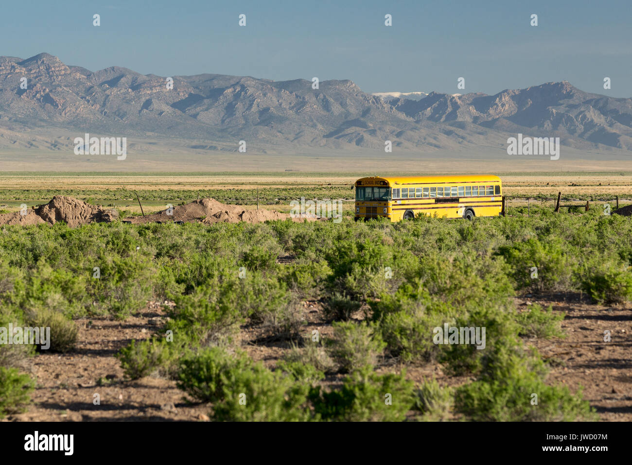 Scuola bus nel deserto del Nevada. Foto Stock
