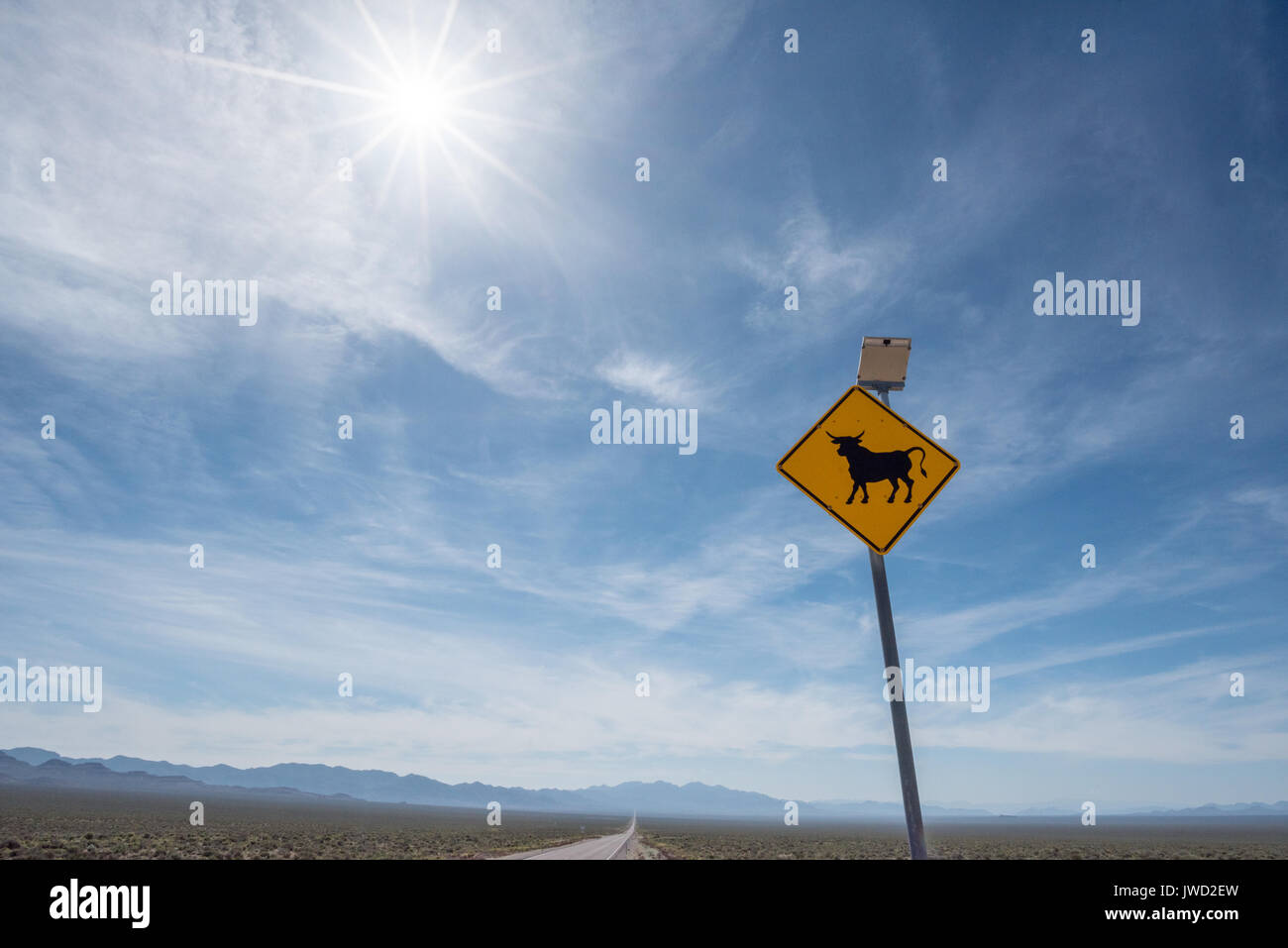 Energia solare segno di bestiame su una autostrada nel deserto del Nevada. Foto Stock