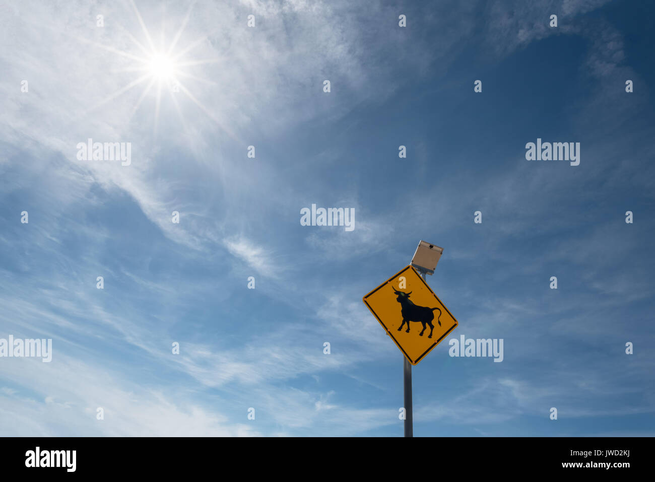 Energia solare segno di bestiame su una autostrada nel deserto del Nevada. Foto Stock