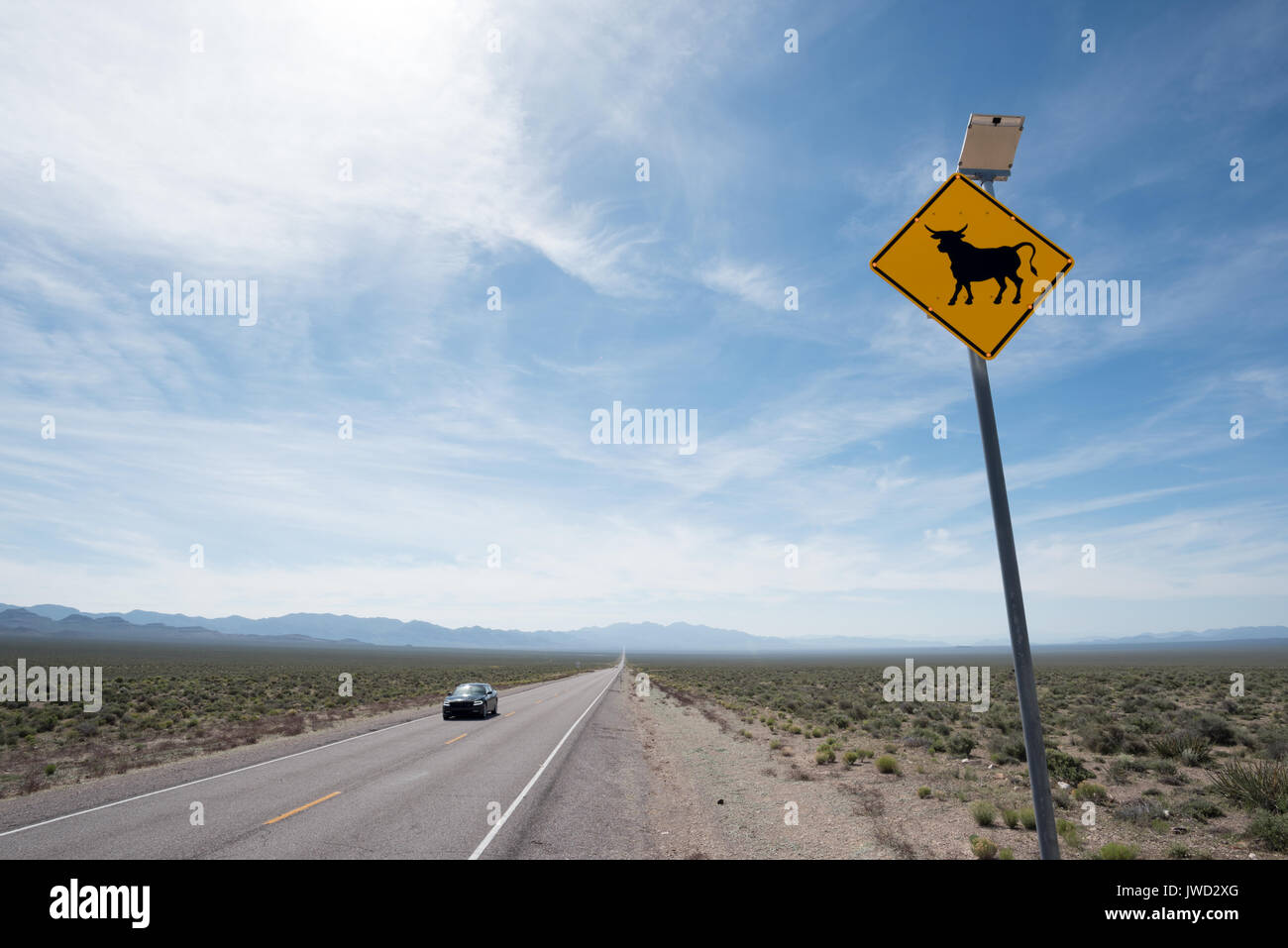 Energia solare segno di bestiame su una autostrada nel deserto del Nevada. Foto Stock