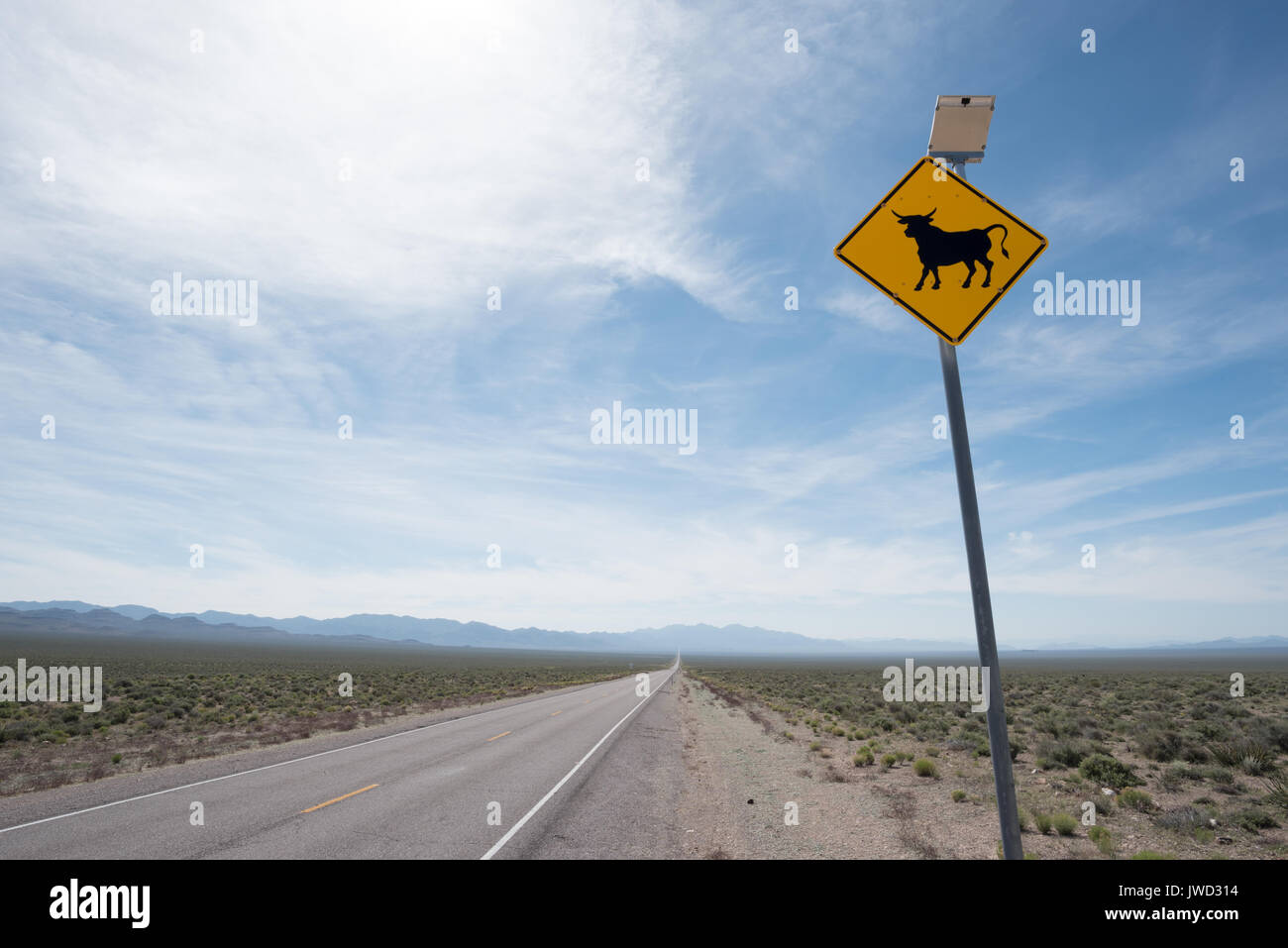 Energia solare segno di bestiame su una autostrada nel deserto del Nevada. Foto Stock