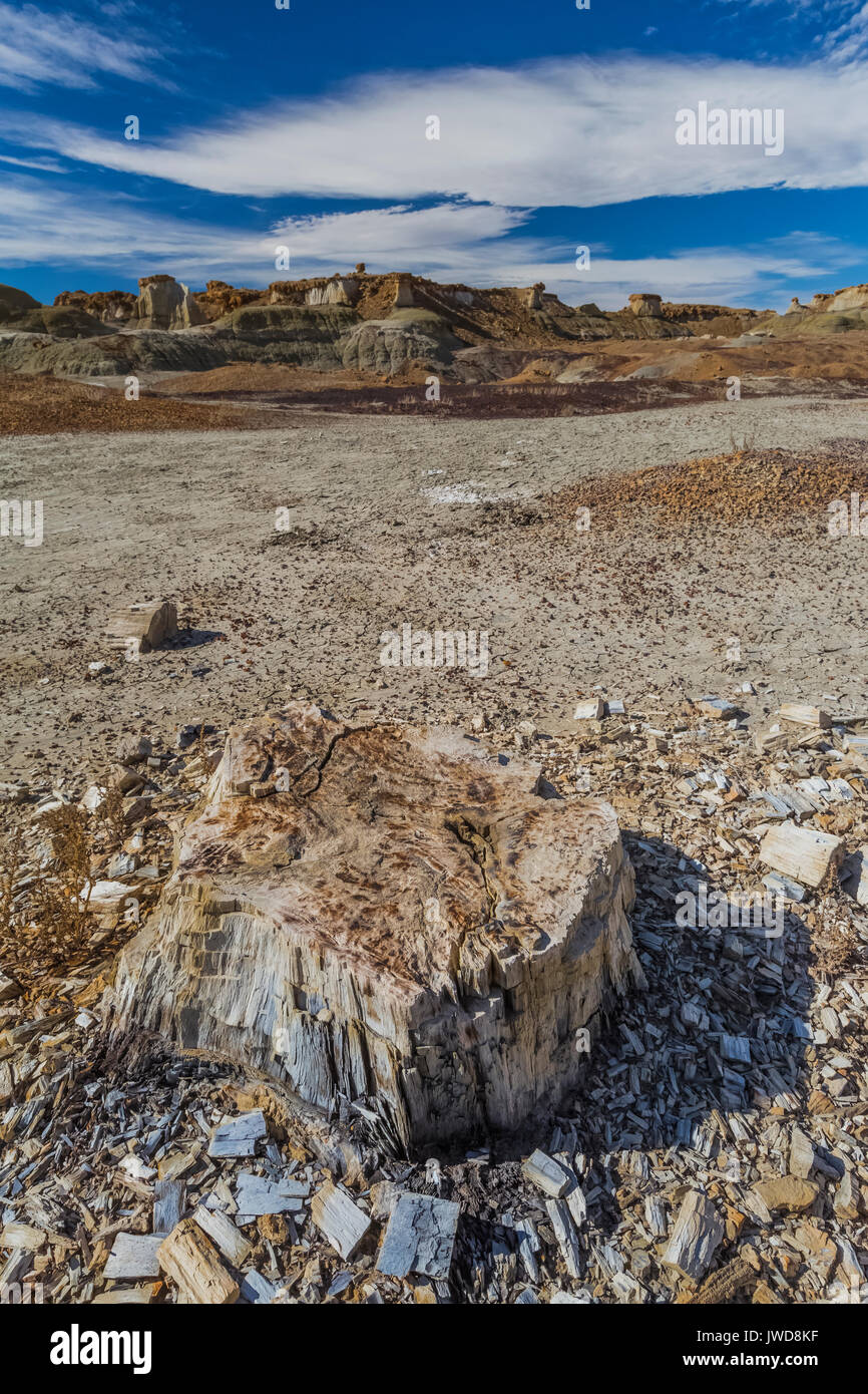 Foresta pietrificata di monconi in Bisti/De-Na-Zin Deserto vicino a Farmington, Nuovo Messico, STATI UNITI D'AMERICA Foto Stock