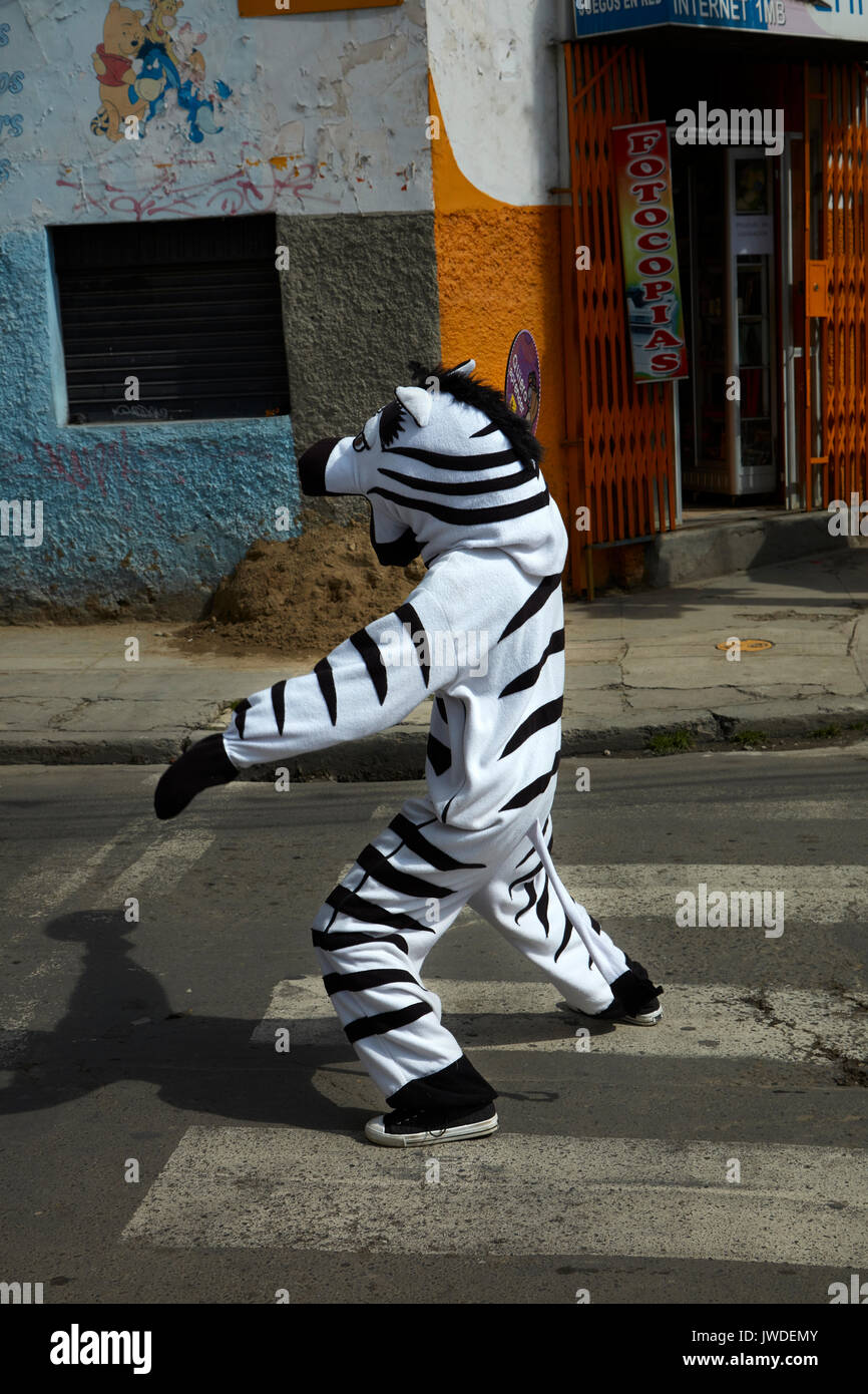 Il traffico zebre aiutando i pedoni di attraversare la strada, La Paz, Bolivia, Sud America Foto Stock