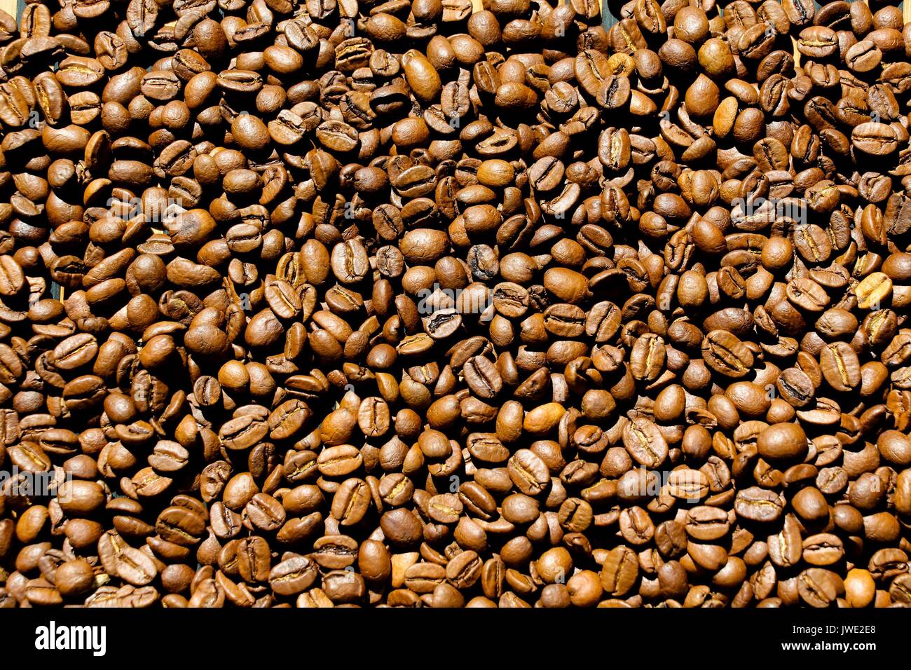 Un sacco di versato il caffè in grani, è molto fresco e fragrante odori. Il grano sarà la massa e una deliziosa bevanda sarà preparato da loro. Foto Stock