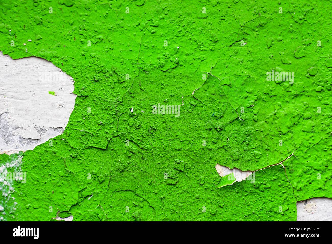 La tessitura di una vernice di colore di un'erba su un vecchio muro incrinato da tempo. Molto dolce e piacevole. sfondo Foto Stock