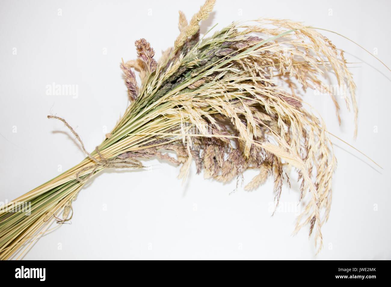 L'erbario di erba di prato è collegato con una corda di iuta. Foto Stock