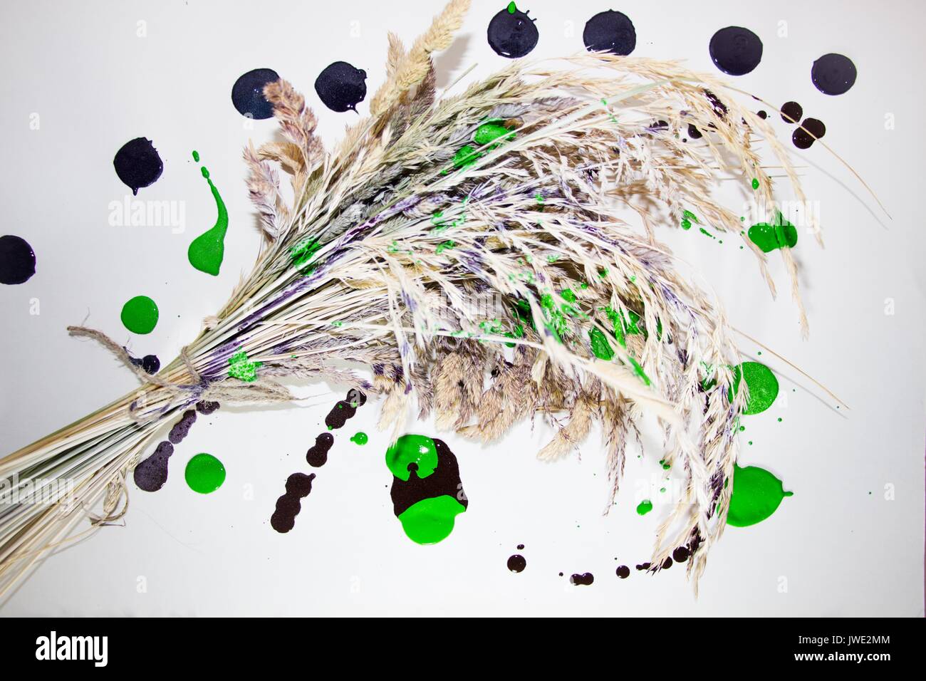 L'erbario dall'erba di prato è legato con una corda di iuta con una vernice policroma Foto Stock
