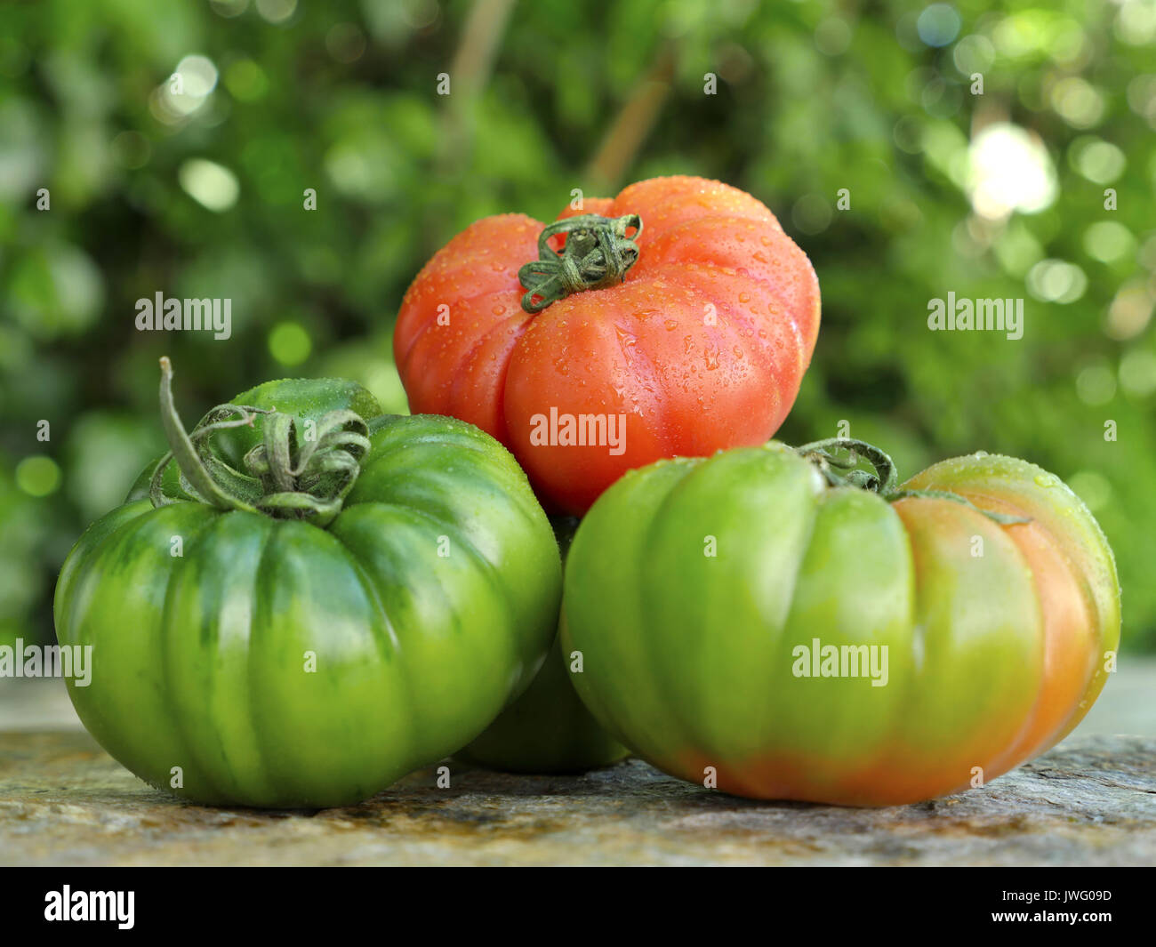 Verschiedene Marinda Tomaten aus Sizilien Foto Stock