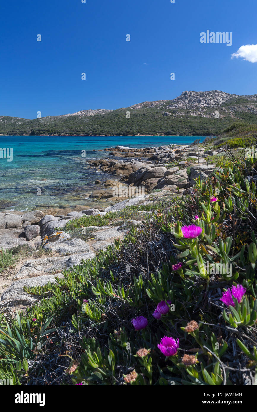 Costa di Baja Sardinia vicino a Palau sulla costa nordorientale dell'isola di Sardegna - Italia Foto Stock