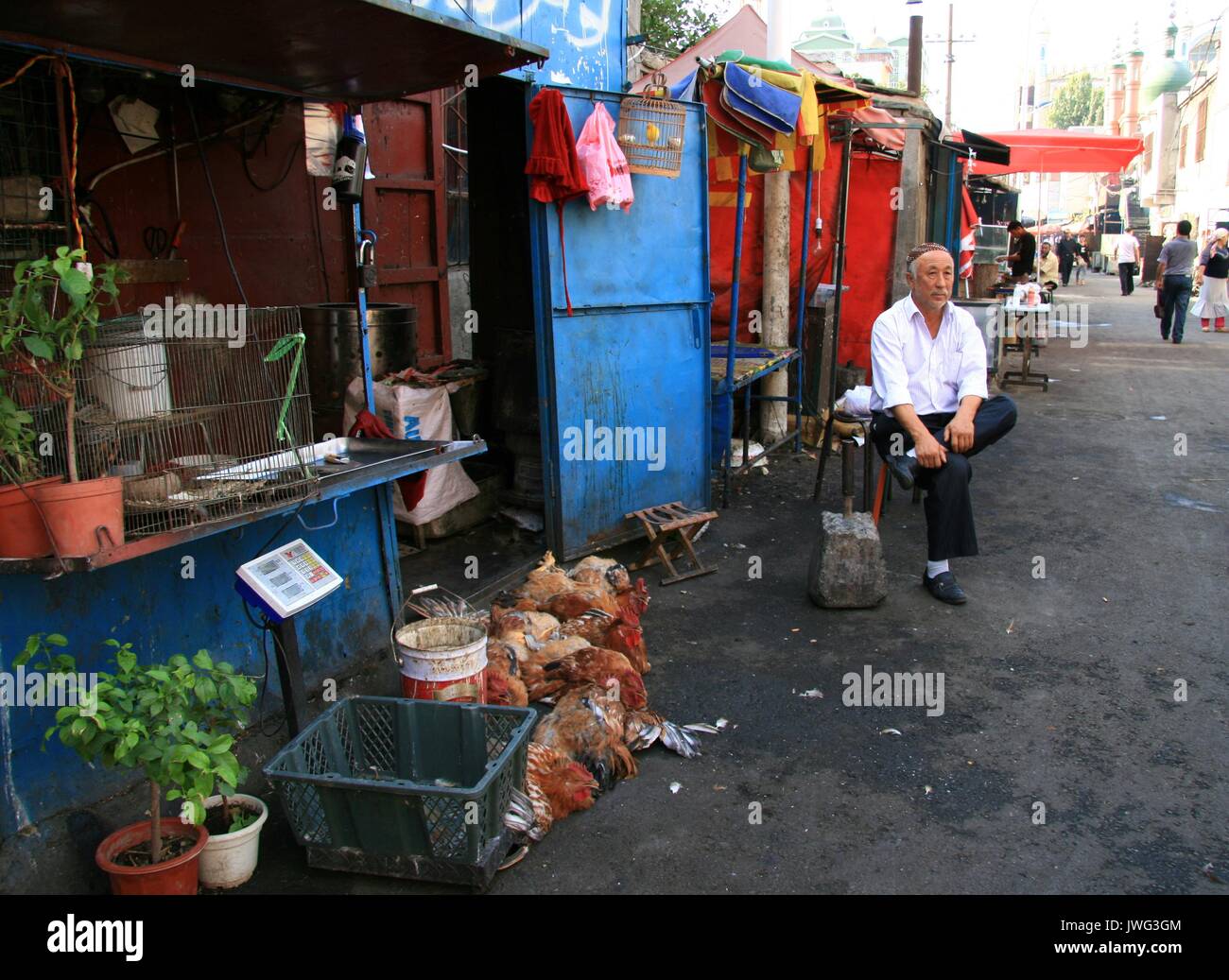 Galli in vendita in Urumqi mercato vecchio Foto Stock