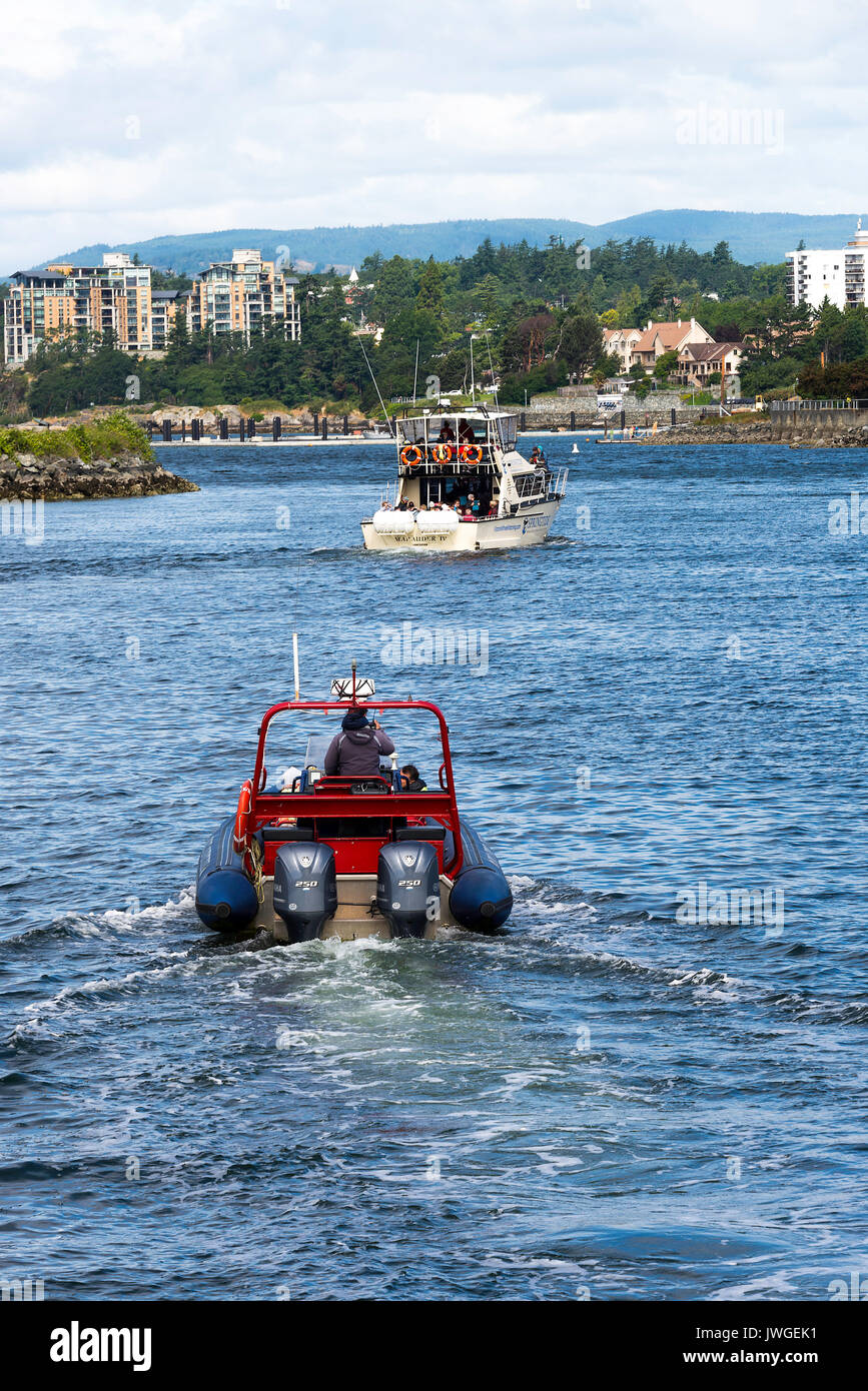 Crociera Avvistamento Balene barche pieno di passeggeri in partenza Victoria Inner Harbour Vancouver Island British Columbia Canada Foto Stock