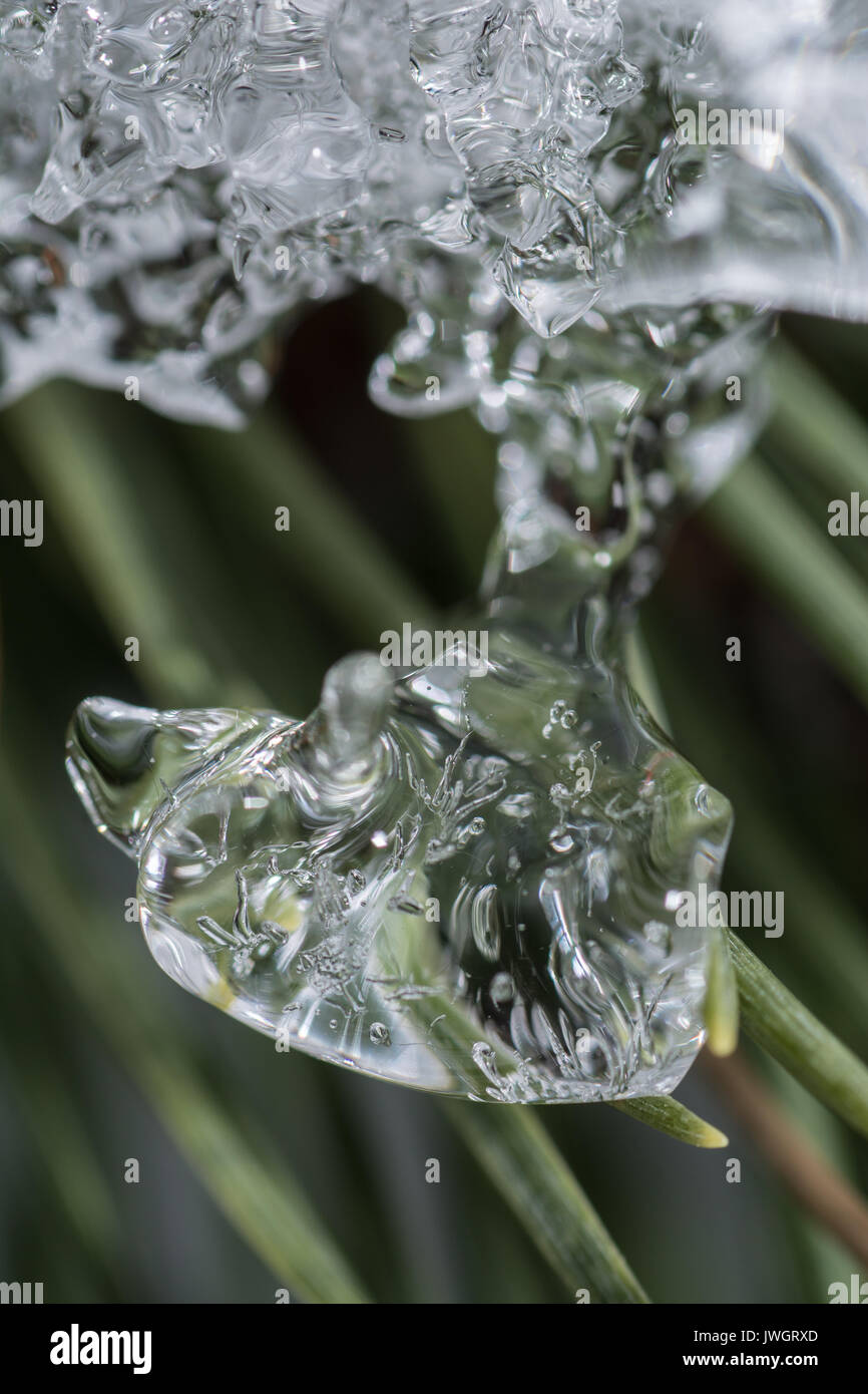 Il ghiaccio fuso e congelati dropplets Foto Stock