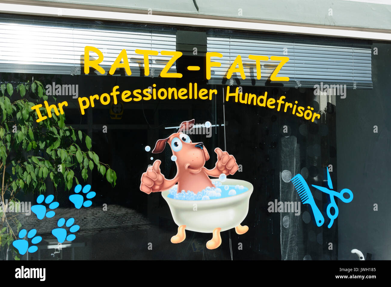 Shopwindow di cane parrucchiere, Bad Reichenhall, Oberbayern, Alta Baviera, Baviera, Baviera, Germania Foto Stock
