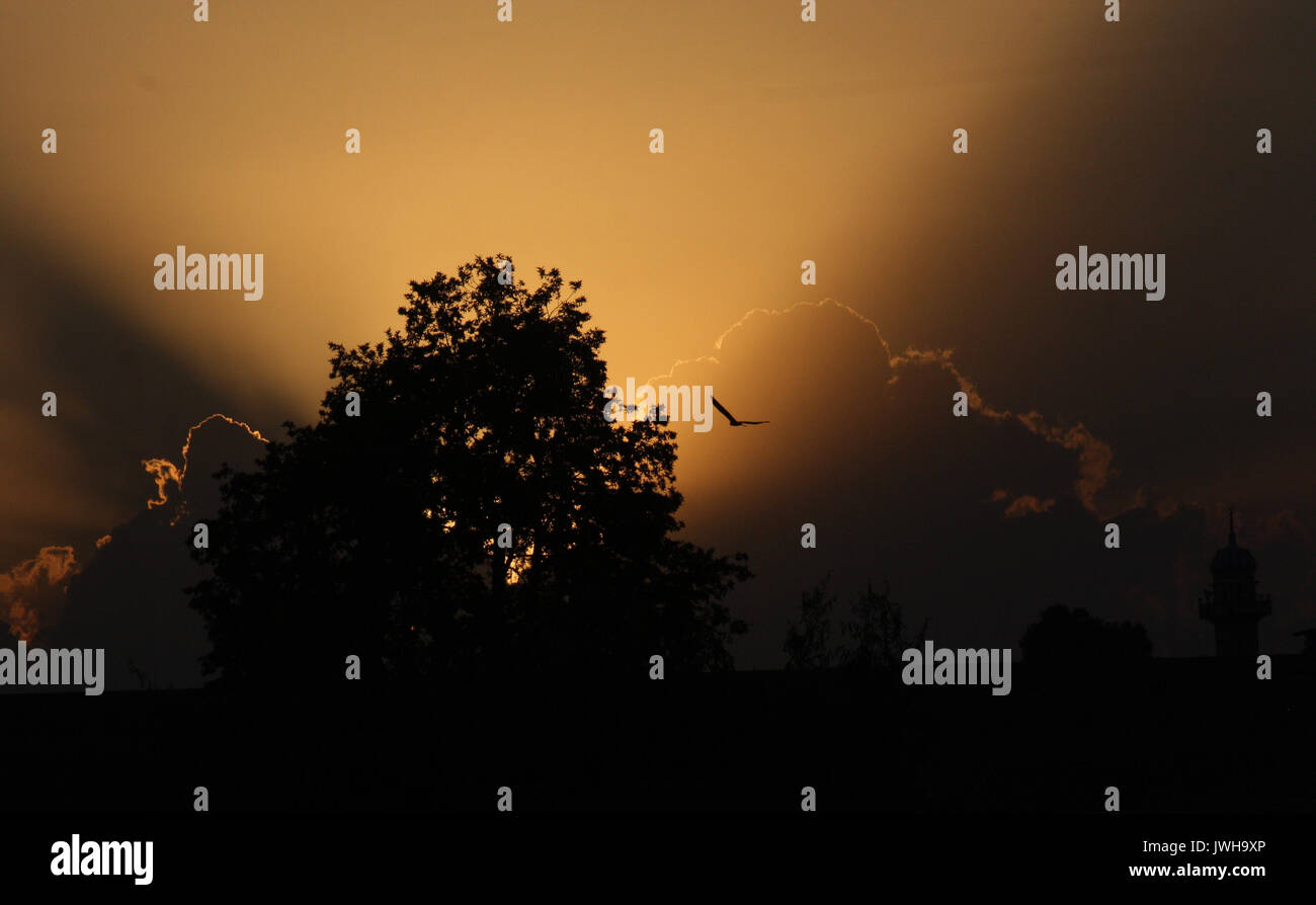 Srinagar, Indiano Kashmir amministrato:12. Agosto.una vista del tramonto in centro città lal chowk . Credito: Sofi Suhail/Alamy Live News Foto Stock