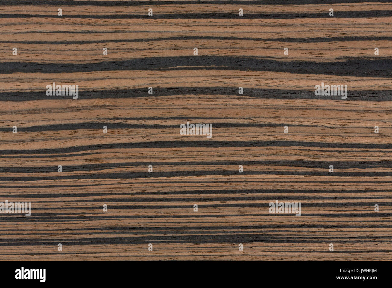 Vero legno di ebano tessitura di elevato impatto naturale feeling. Foto Stock