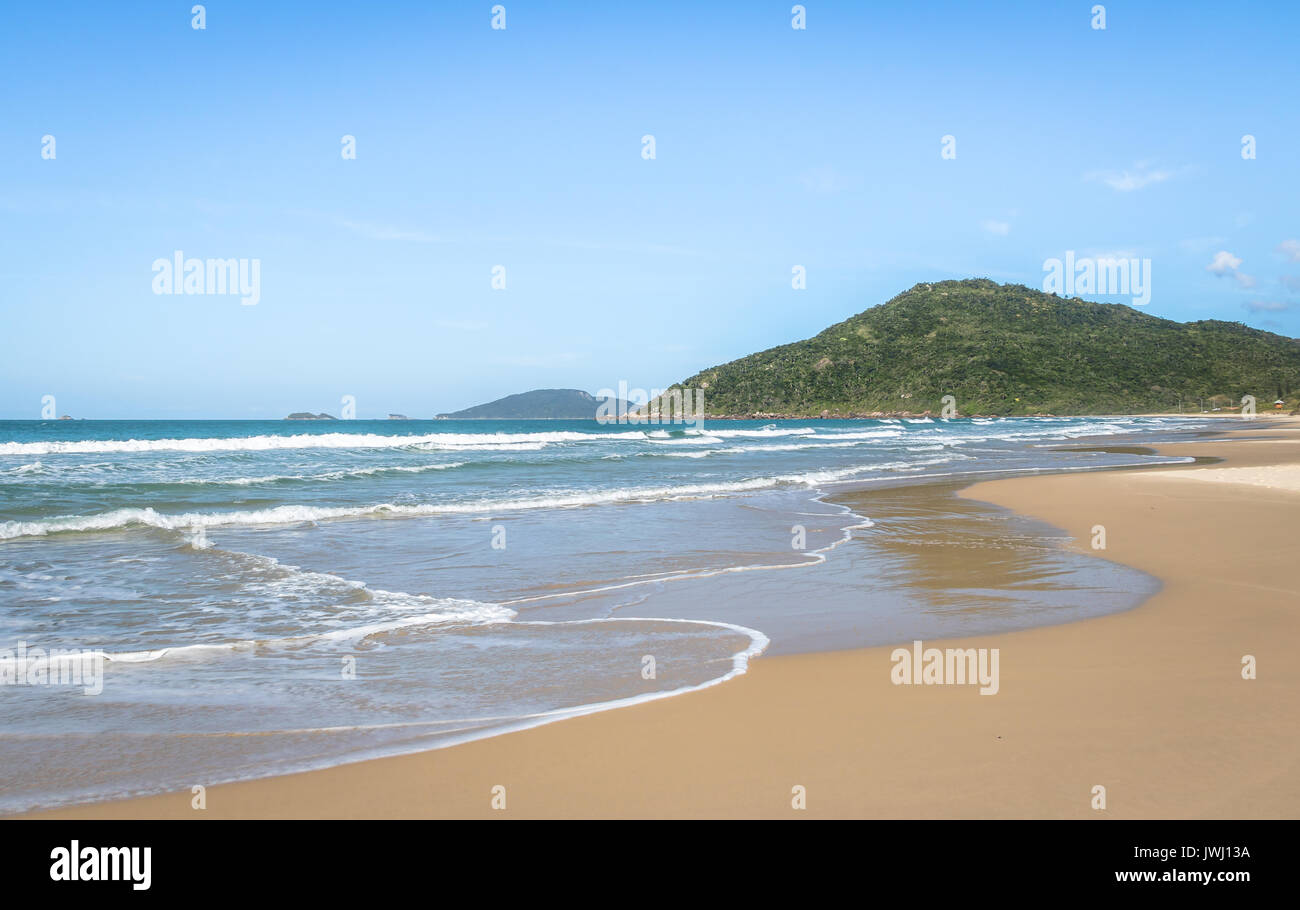 Brava Beach - Florianopolis, Santa Catarina, Brasile Foto Stock