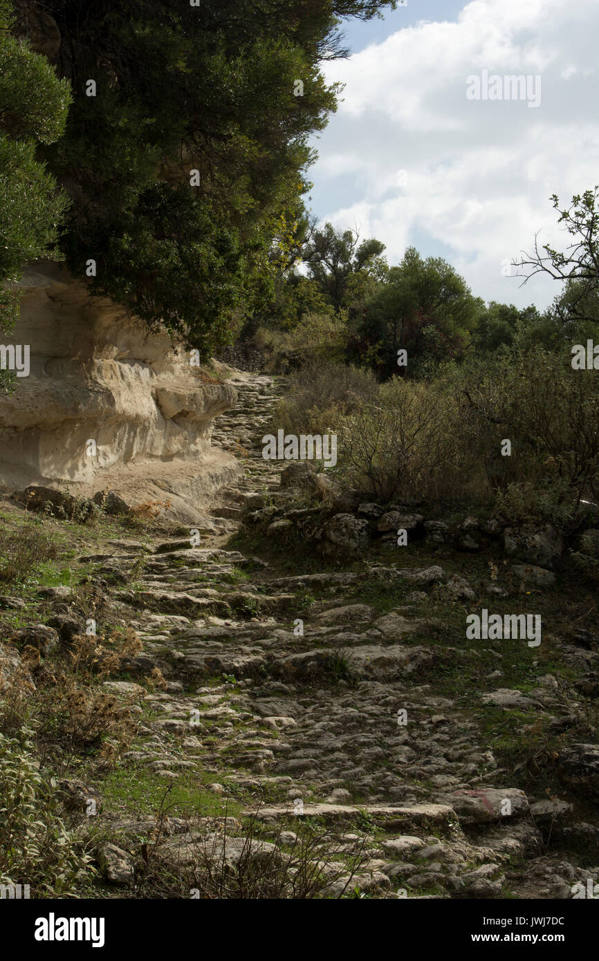 Un antica strada conduce dall'ingresso del luogo romano Eleutherna in creta centrale verso il basso per le cisterne di epoca romana. Eine alte Straße"führt vom E Foto Stock