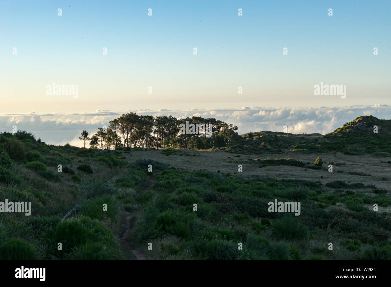 Oceano di nuvole Foto Stock
