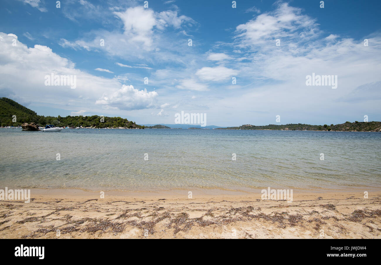 Idilliaco sabbia spiaggia tropicale con acqua turchese a penisola Sithonia, Halkidiki, Grecia Foto Stock