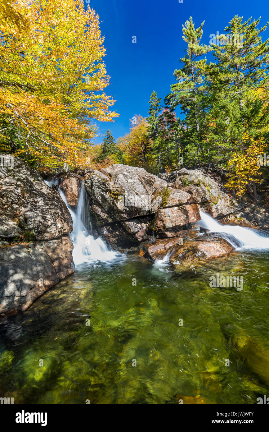 Cascata sul fiume Ellis a valle da Glen Ellis Falls, Carroll Co., White Mountain National Forest, NH Foto Stock