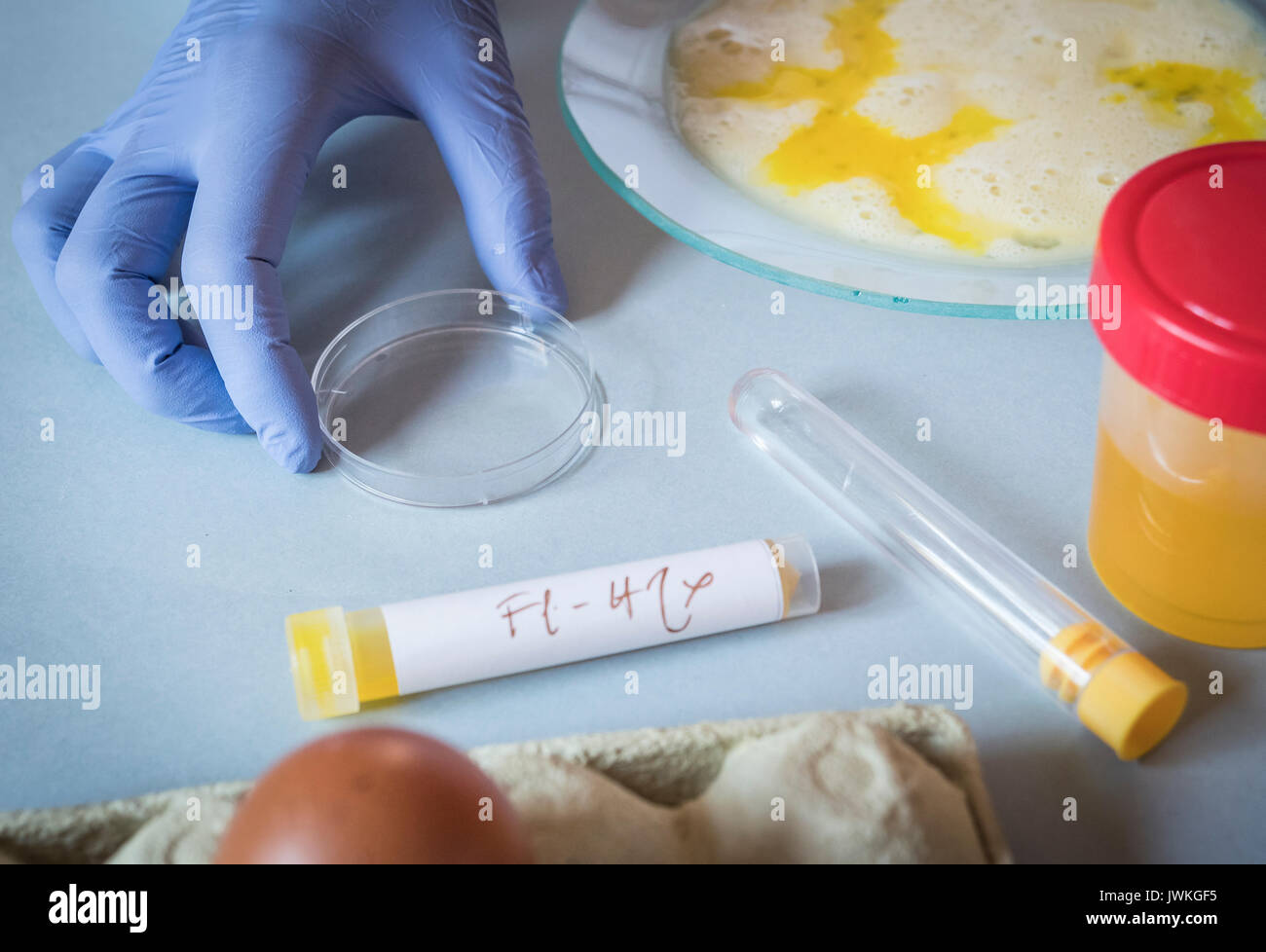 Scienziato presso laboratorio indaga la crisi provocata dalla frode delle uova contaminati con fipronil in Spagna Foto Stock