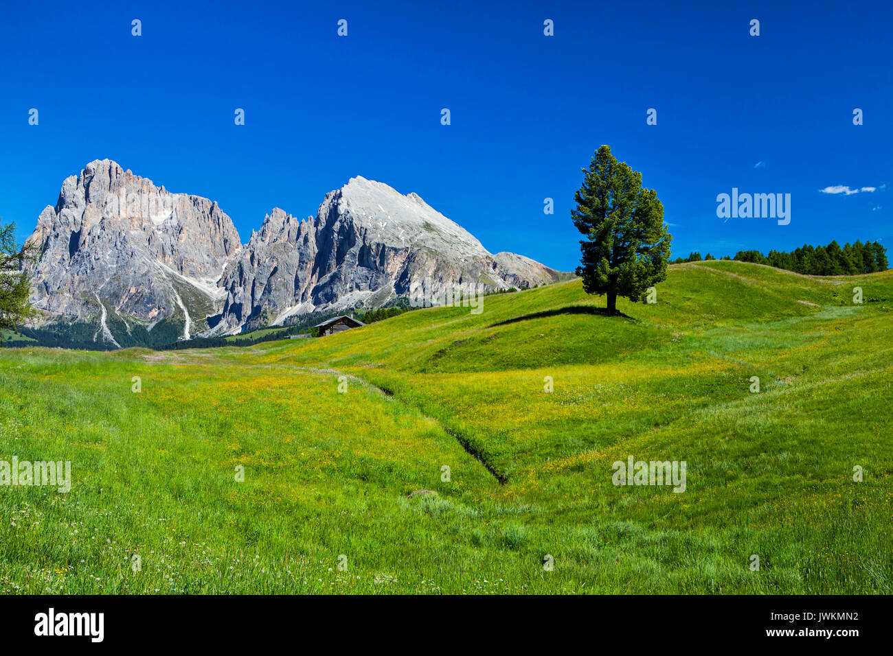 Alpe di Siusi Dolomiti, Italia settentrionale Foto Stock