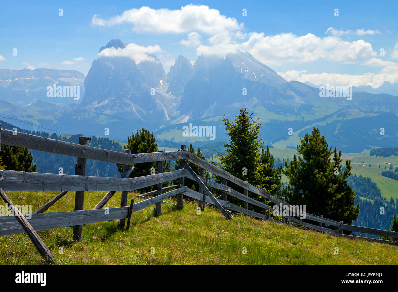 Alpe di Siusi Dolomiti, Italia settentrionale Foto Stock