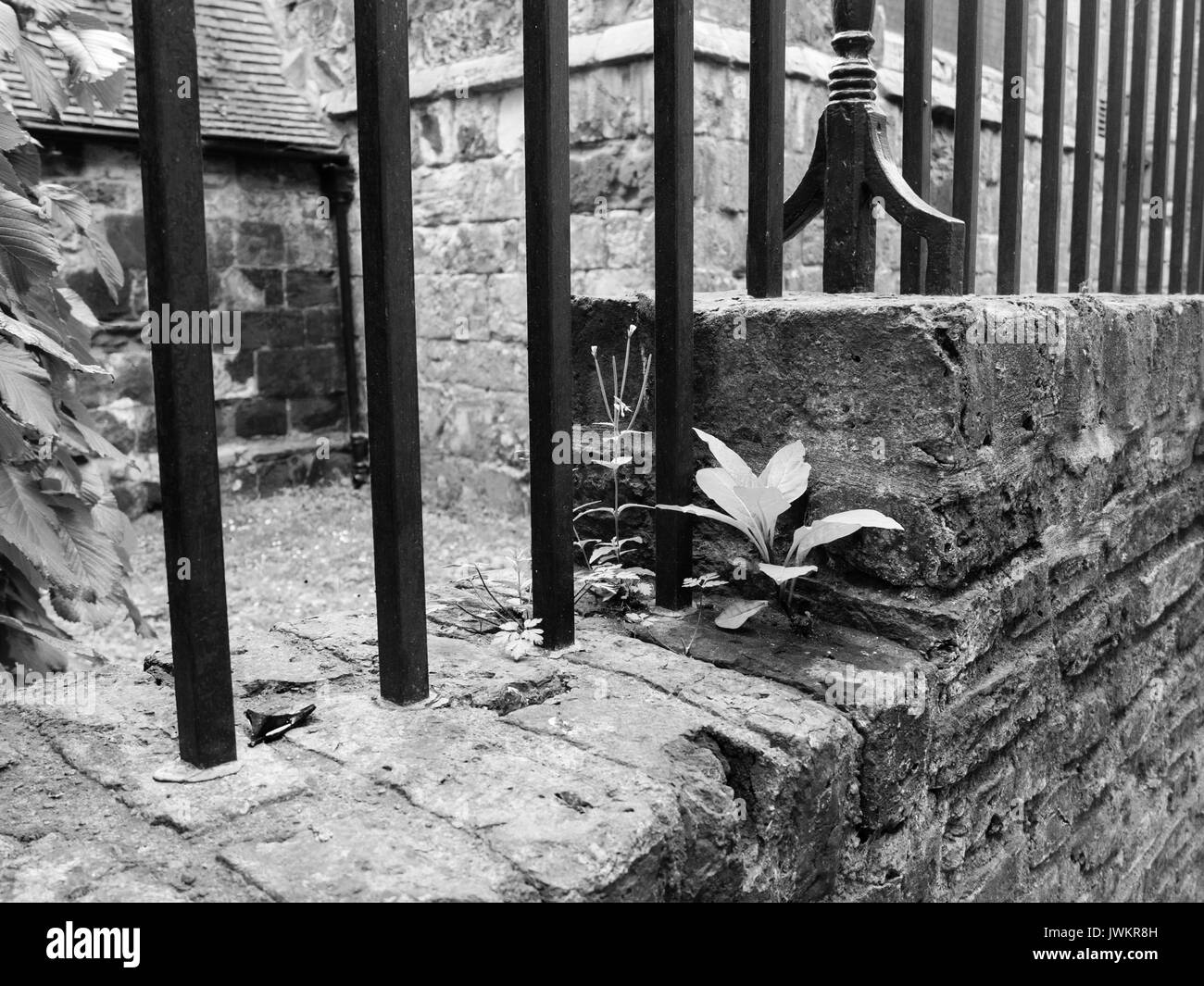 Foto in bianco e nero di motivi decorativi lavori in ferro battuto Foto Stock