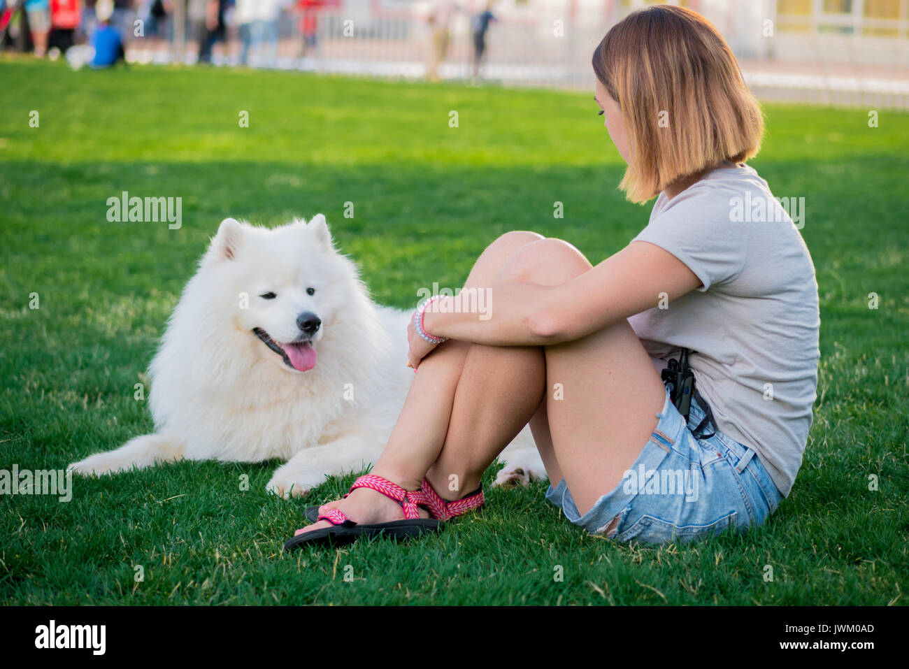 Una donna adulta con capelli rossi suona e accarezza il suo cane di razza Samoiedo. Bianchi e soffici pet in un parco con padrona su un prato verde divertimento. Foto Stock