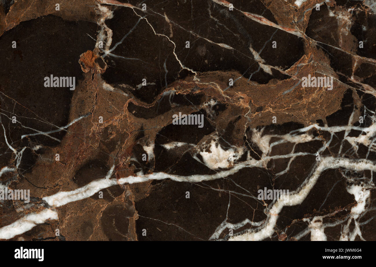 Bellissimo marmo marrone piastrelle con venature bianche Foto Stock