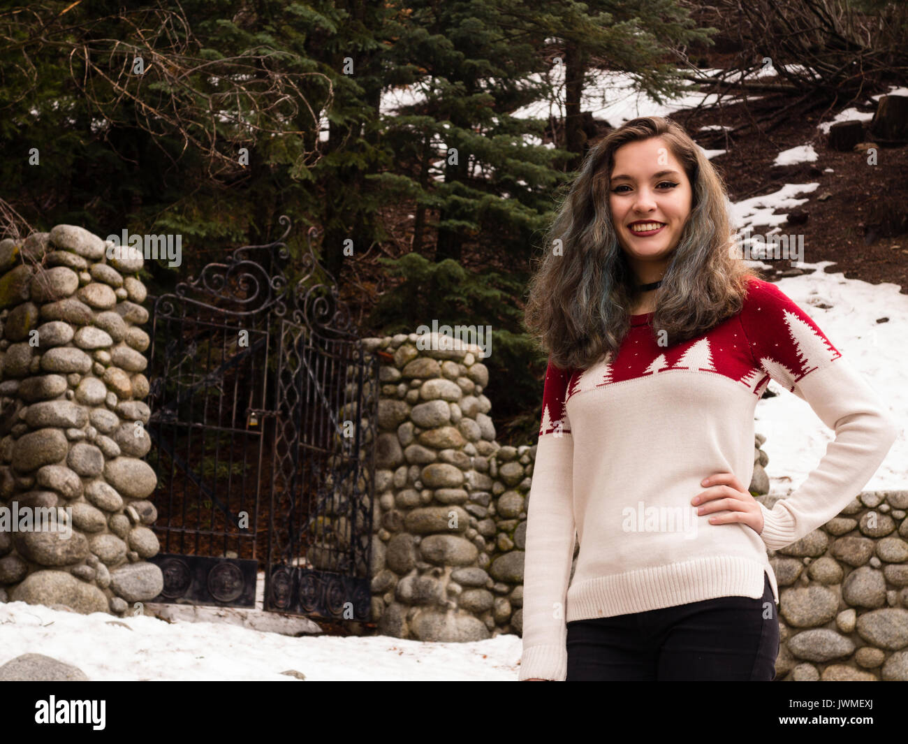 Una sorridente ragazza teen in bianco e rosso maglione da un cancello di ferro con pilastri di pietra in inverno Foto Stock Una sorridente ragazza teen in bianco e rosso maglione da un cancello di ferro con pilastri di pietra in inverno Foto Stock
