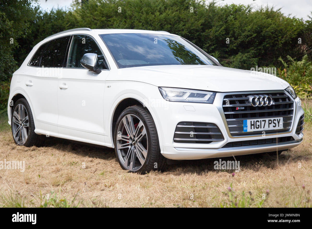 Audi SQ5 3L 4x4 Foto Stock