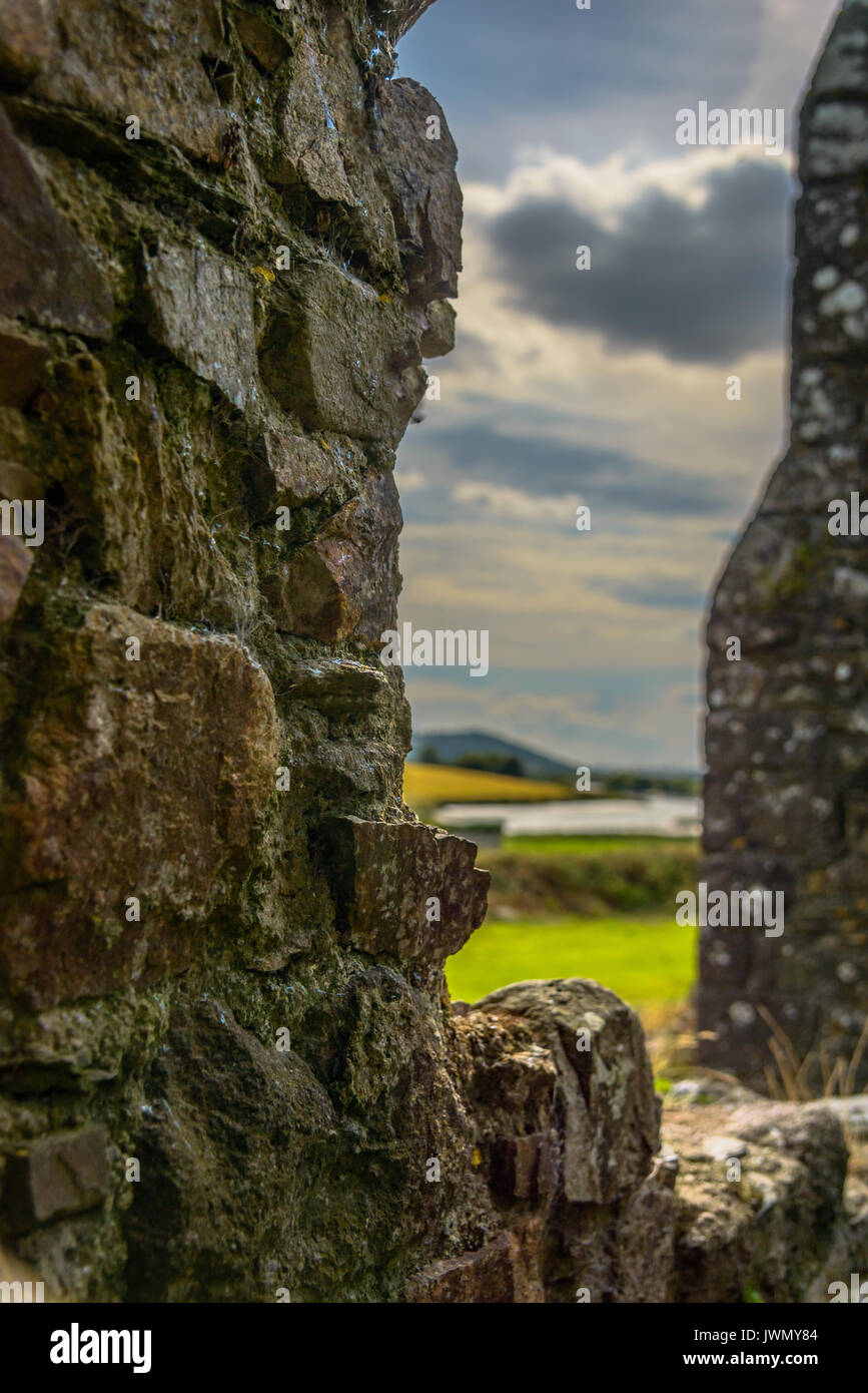 Vista del pascolo attraverso resti in Irlanda Foto Stock