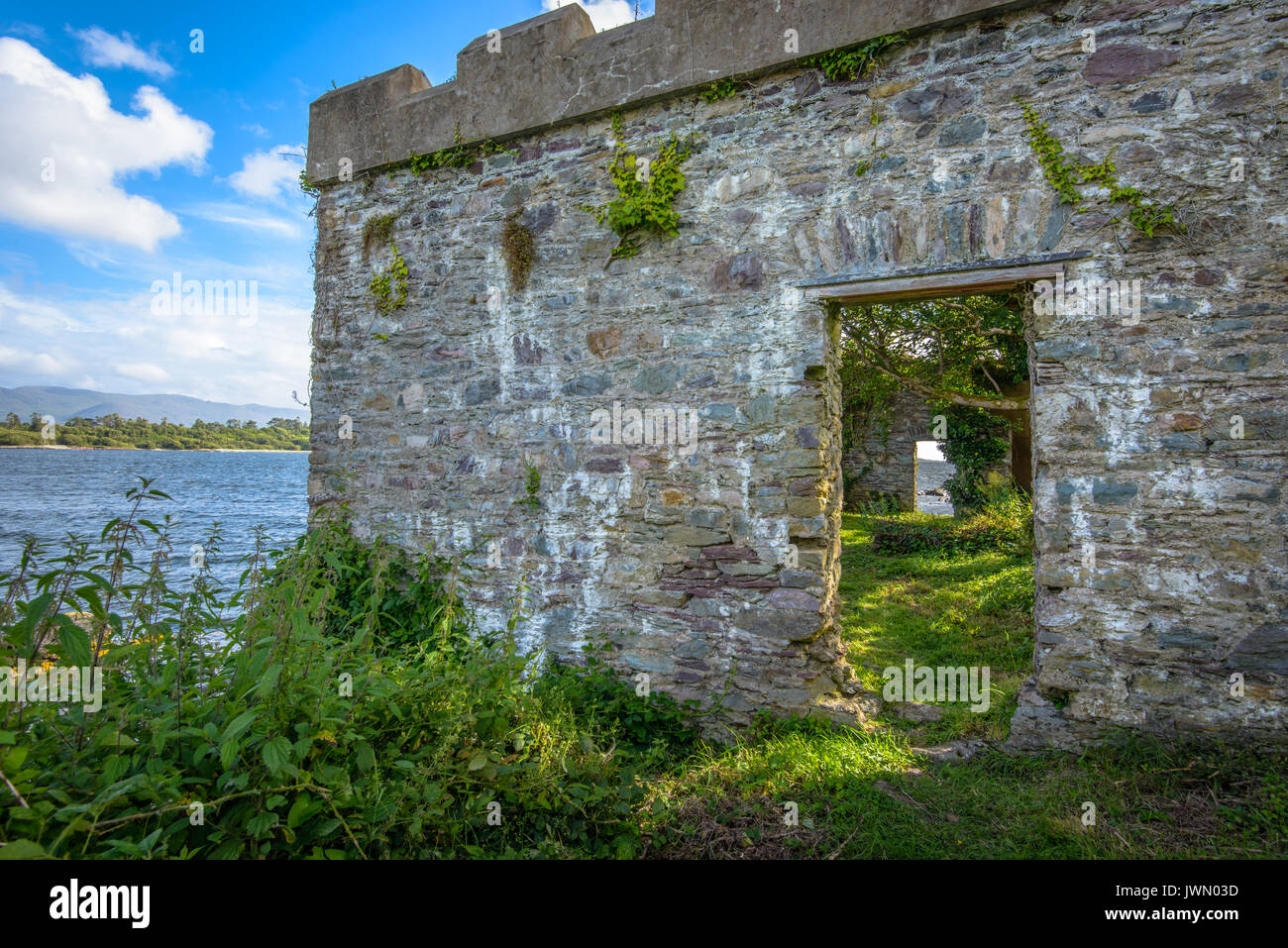 Antiche rovine sul litorale irlandese Foto Stock