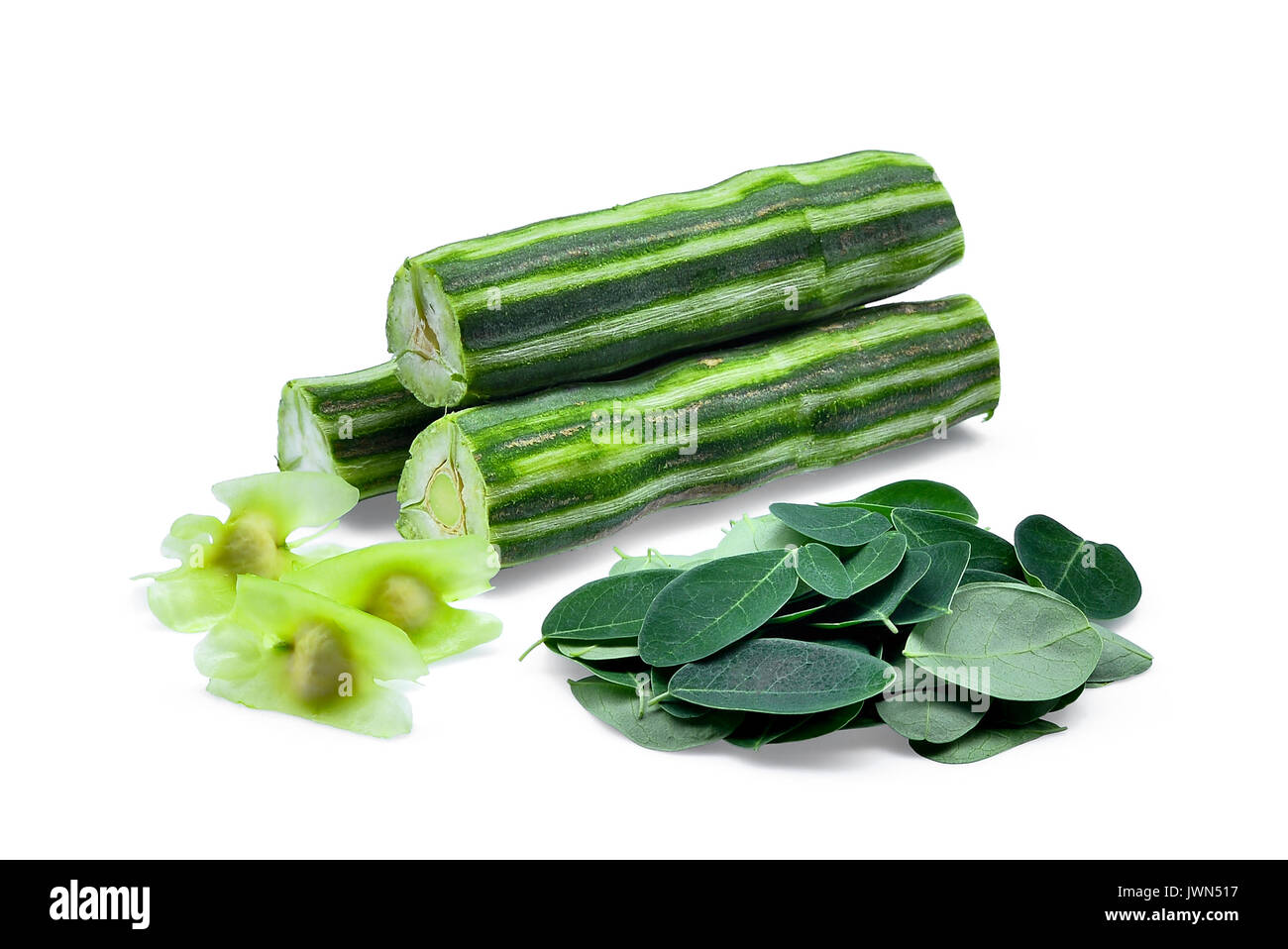 Pod di moringa (coscia albero) con foglie,erbe tropicali isolati su sfondo bianco Foto Stock