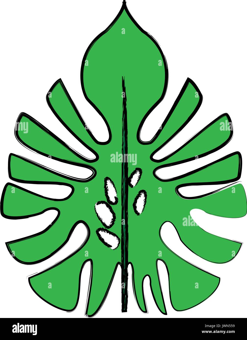 Grandi foglie verdi di monstera tropicali impianto isolato su sfondo bianco Illustrazione Vettoriale