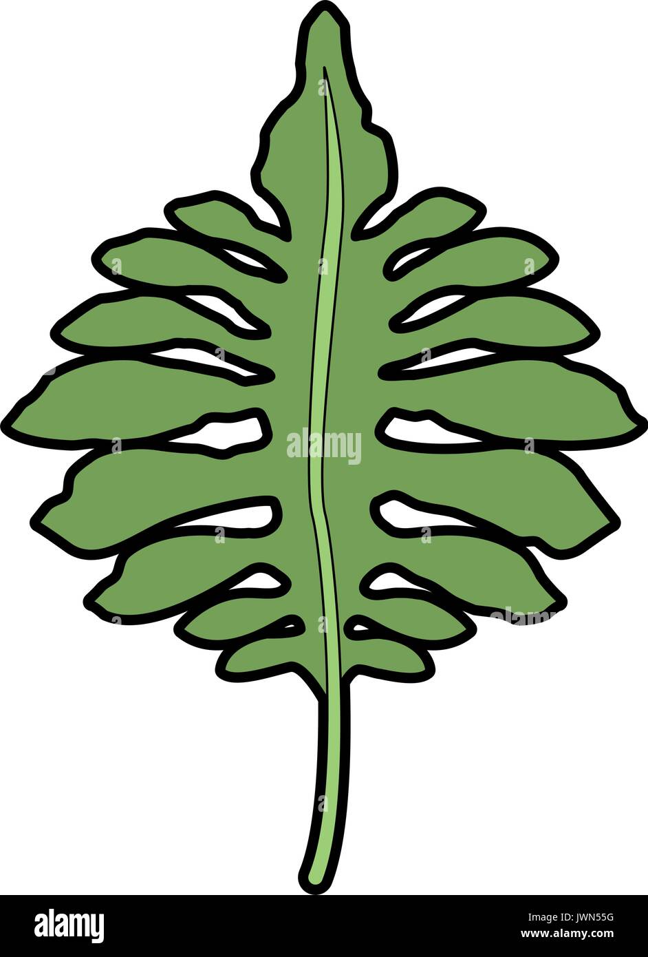 Grandi foglie verdi di monstera tropicali impianto isolato su sfondo bianco Illustrazione Vettoriale