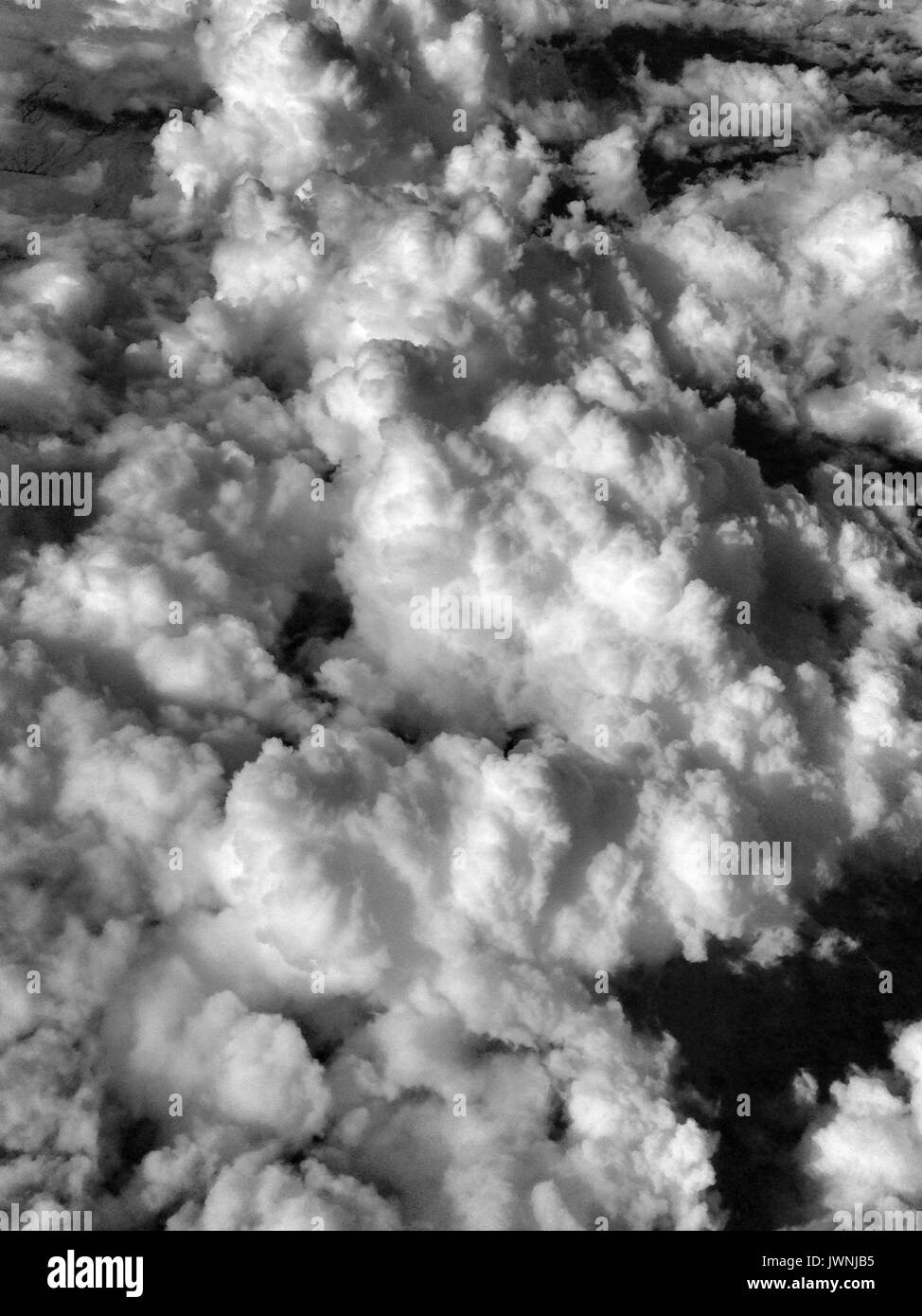 Lo strato monocromatica di soffice bianco nuvole cumulus visto dal di sopra in quota da un aereo in volo in un frame completo della tessitura o cloudscape Foto Stock