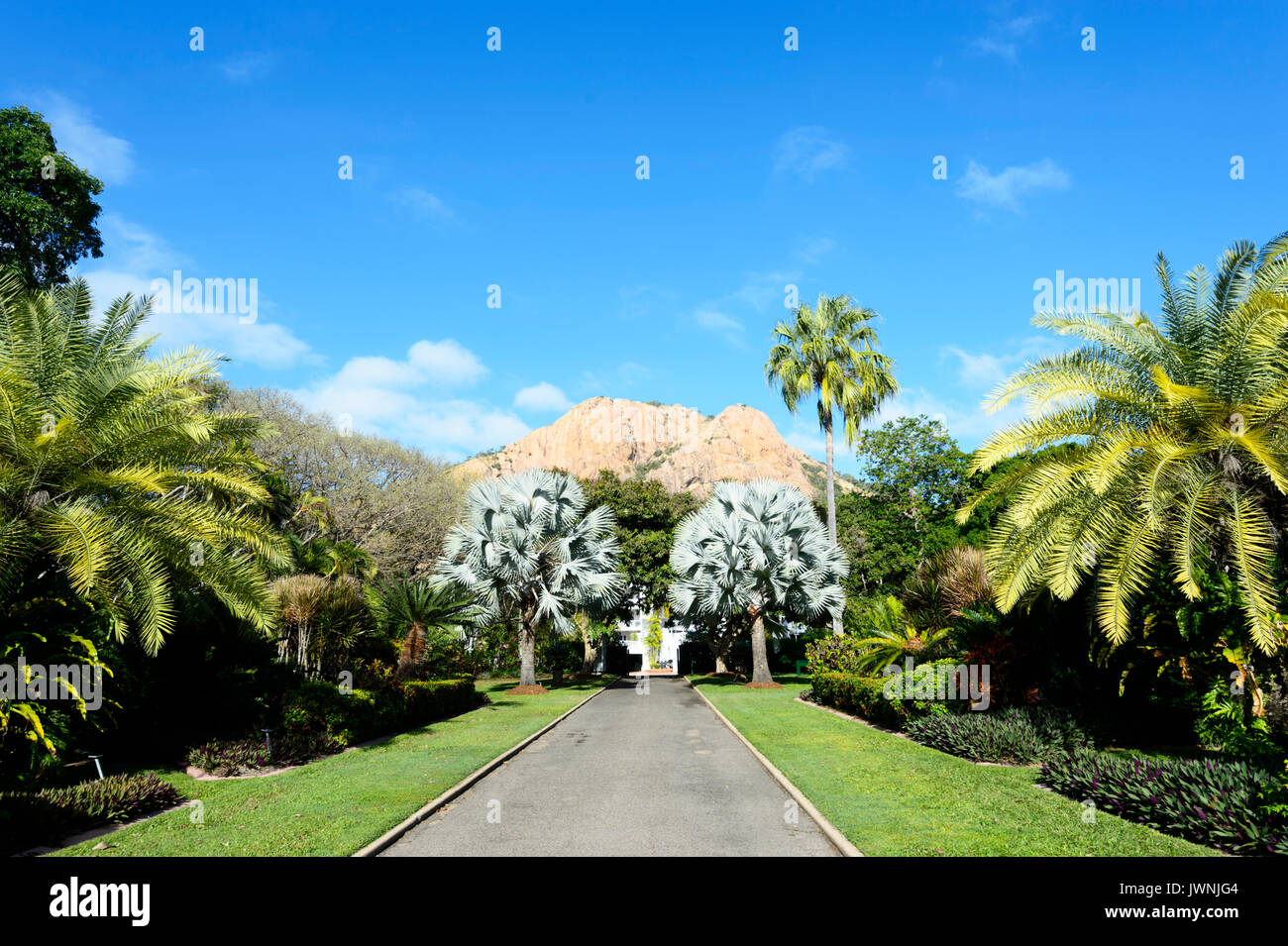 Queen's Park giardino botanico con una vista della collina del castello in background, Townsville, Queensland, QLD, Australia Foto Stock