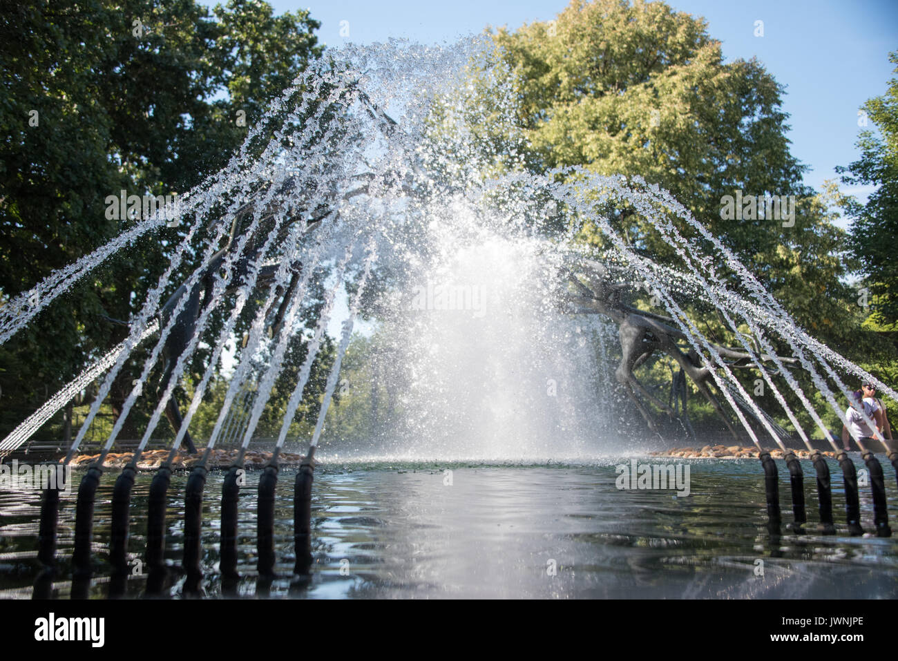 Fontana ornamentale con archi di getti di acqua da ugelli ad alta pressione formando un display su uno stagno in un parco boscoso Foto Stock