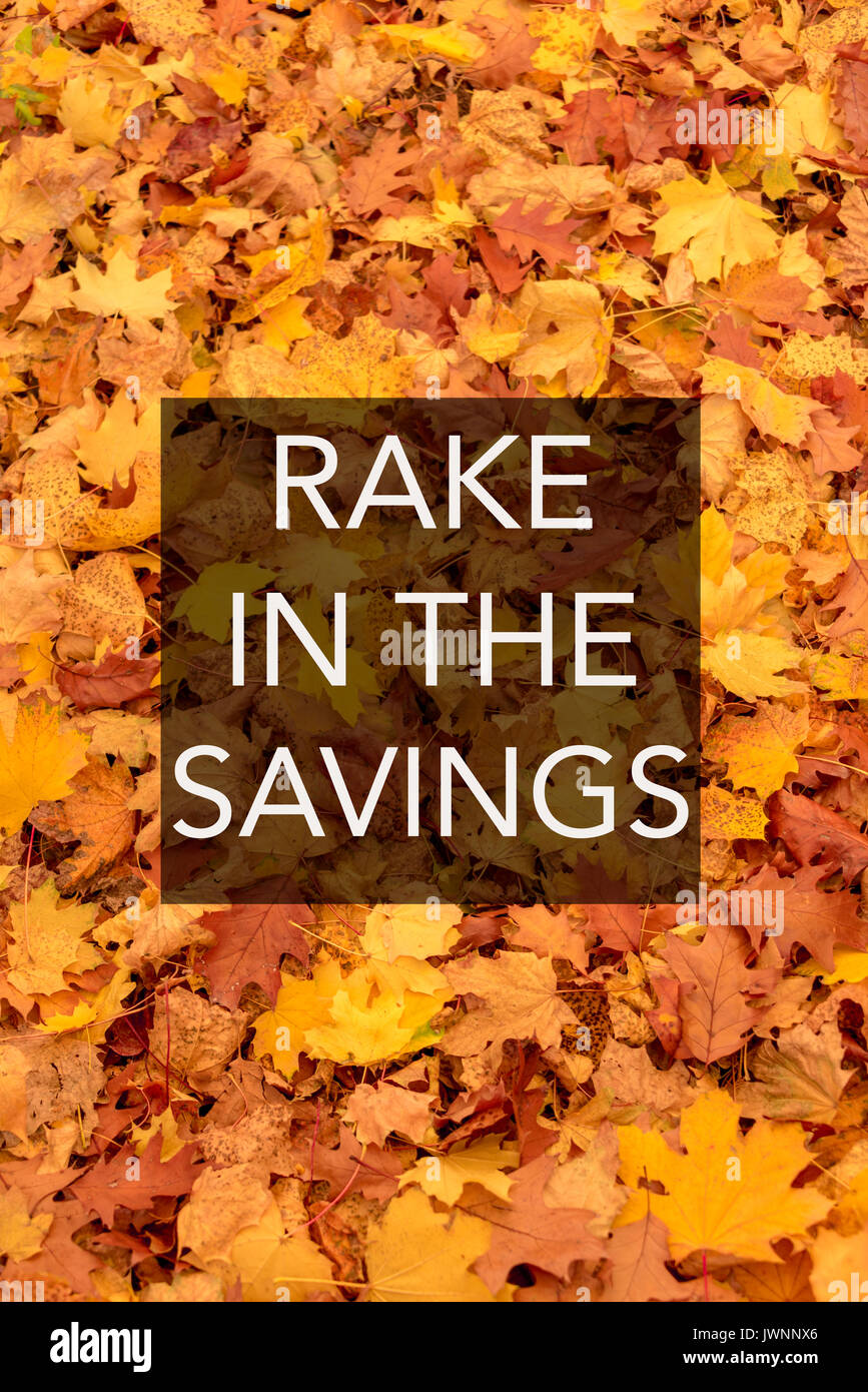 Il rastrello nel segno del risparmio con il testo bianco su nero quadrato, sfondo con foglie di autunno, parte della serie Foto Stock