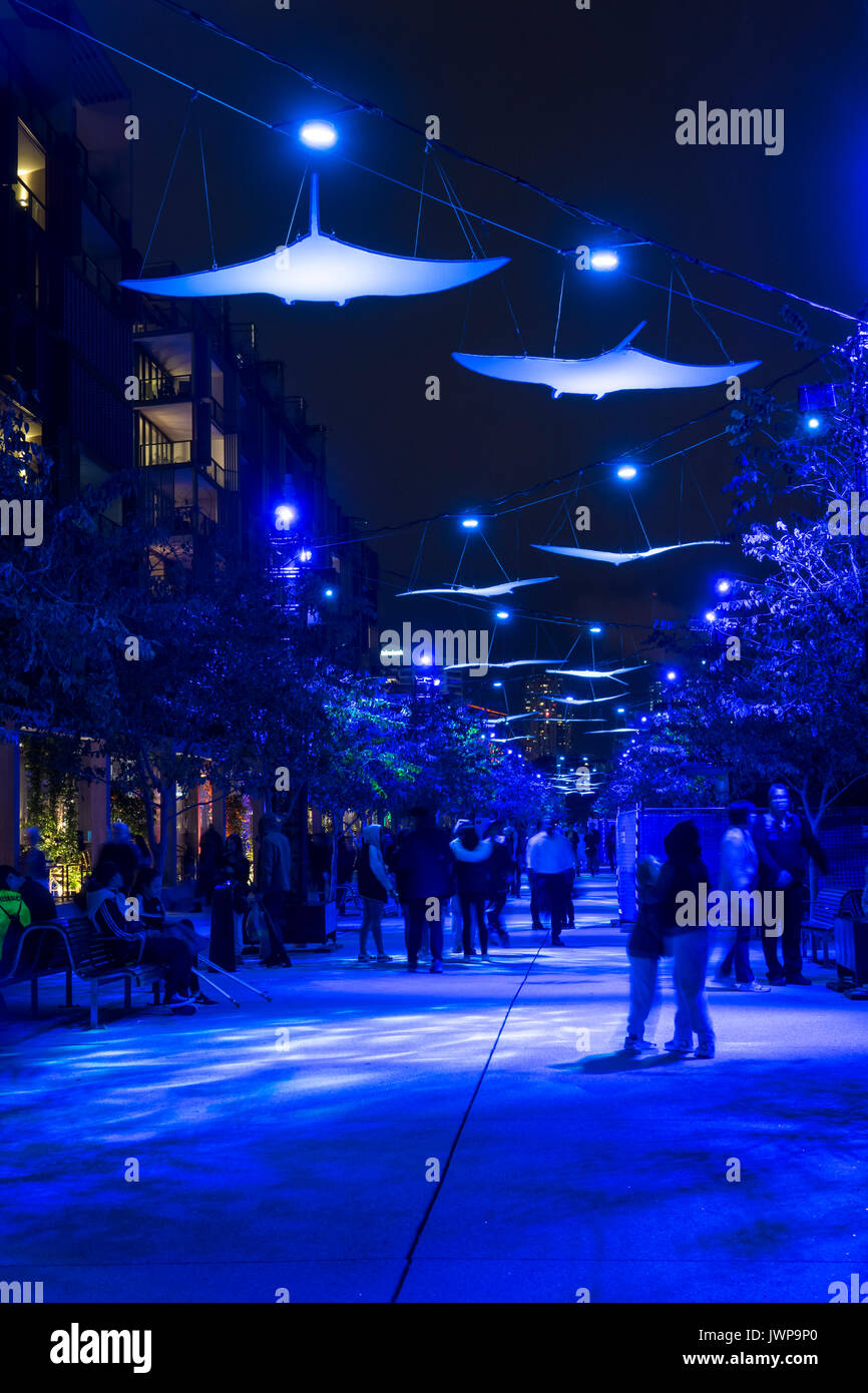 2017 Vivid Sydney impianti luce intorno al Circular Quay di Sydney Foto Stock