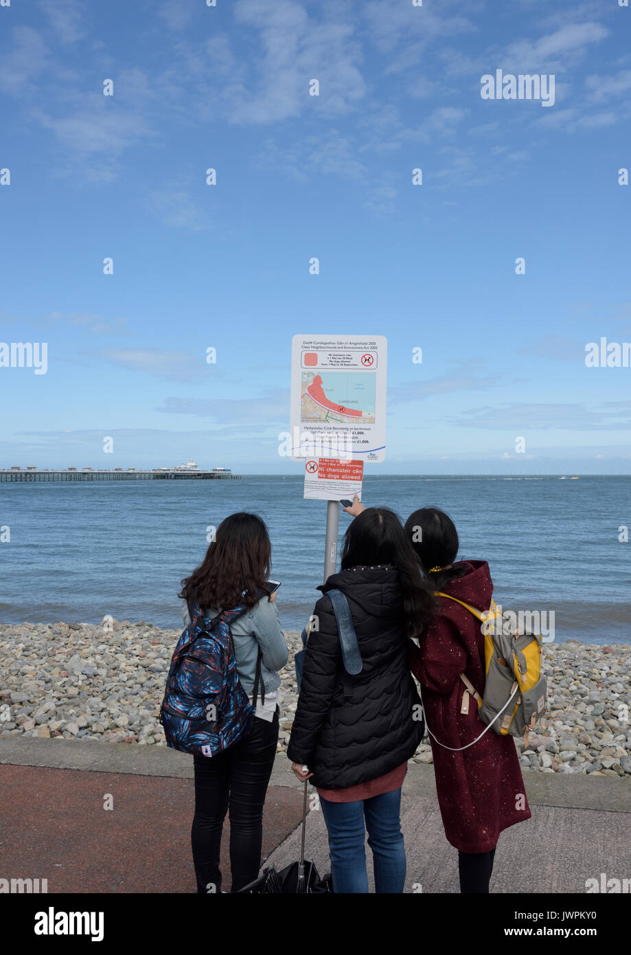 Tre giovani donne turisti in piedi sul lungomare guardando avviso di avvertimento, una donna che punta a llandudno conwy nord galles uk Foto Stock