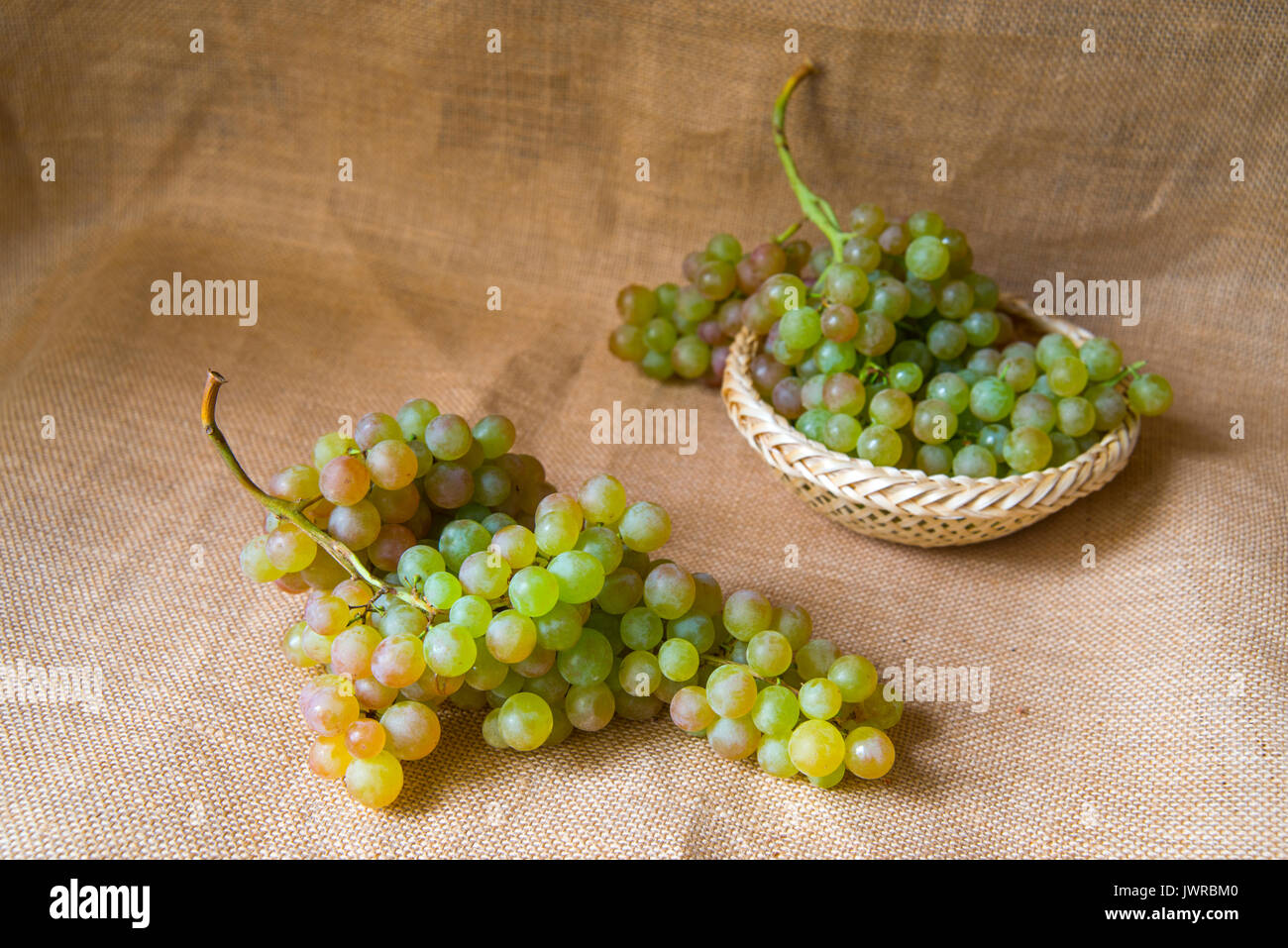 Grappoli di uva da Vinalopo. Alicante, Spagna. Foto Stock
