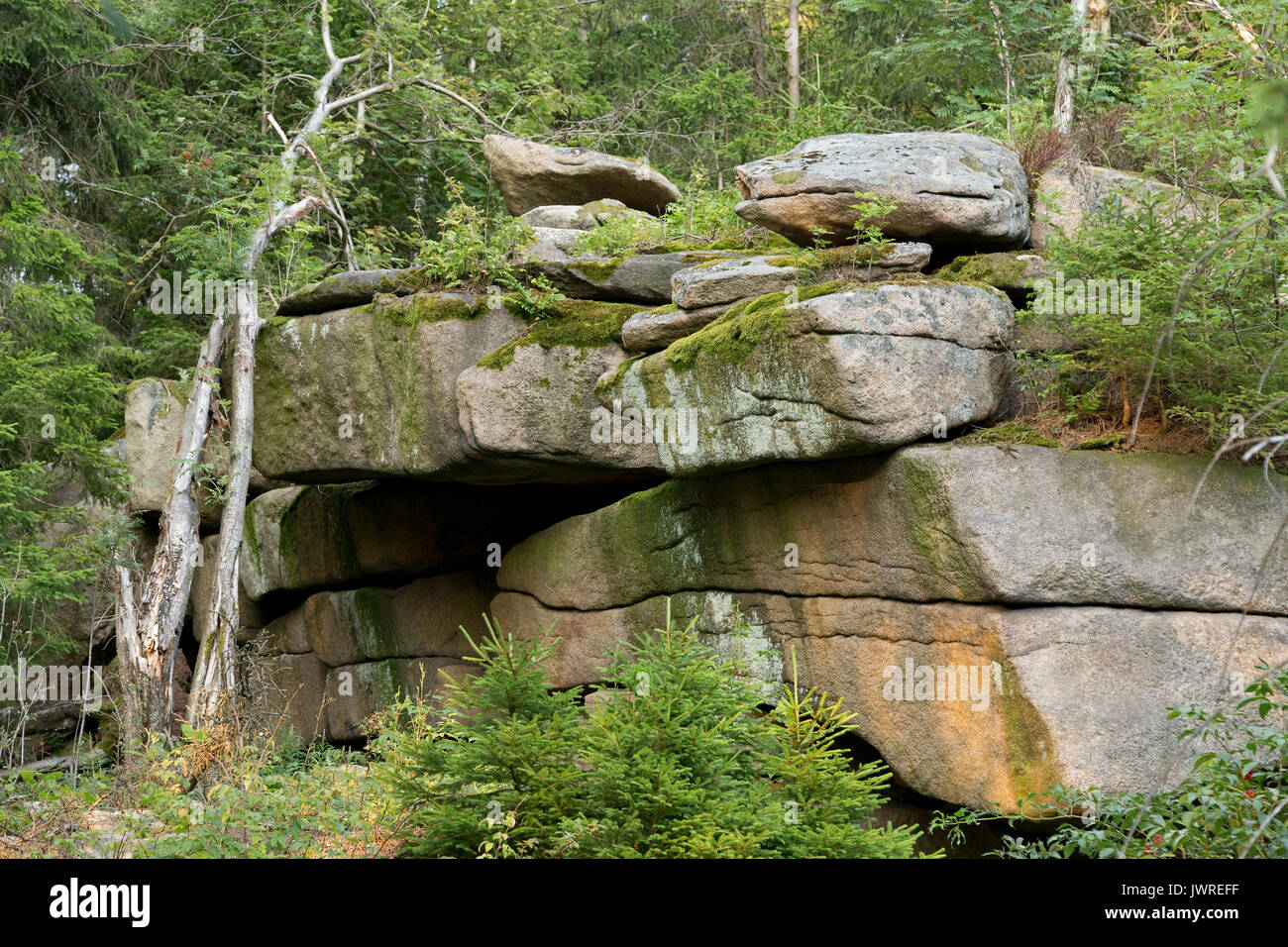 Rocce vicino Schiercke, Montagne Harz, Sassonia Anhalt, Germania Foto Stock